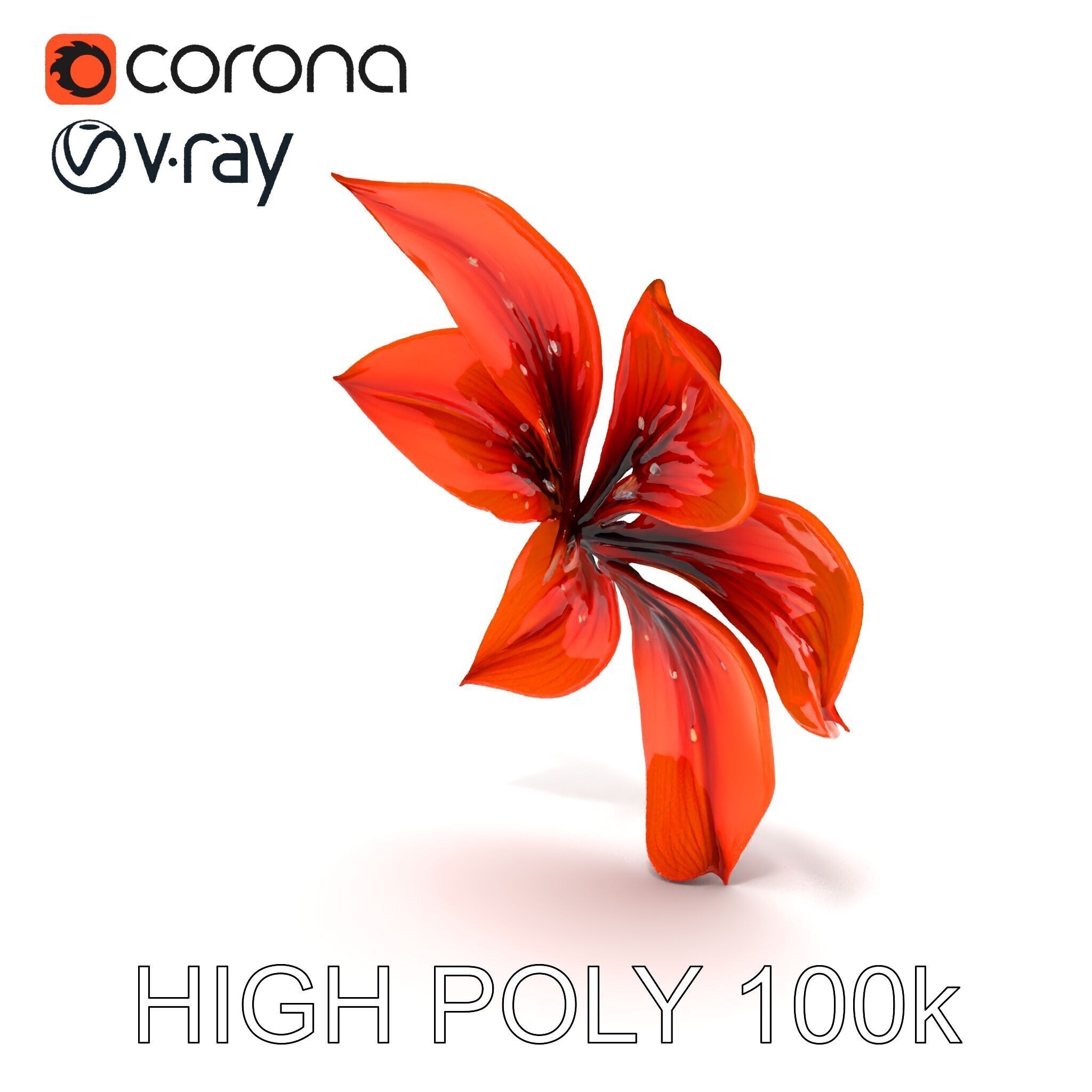 Realistic Orange Lily Flower D Model Pack Low-poly 3D model_13