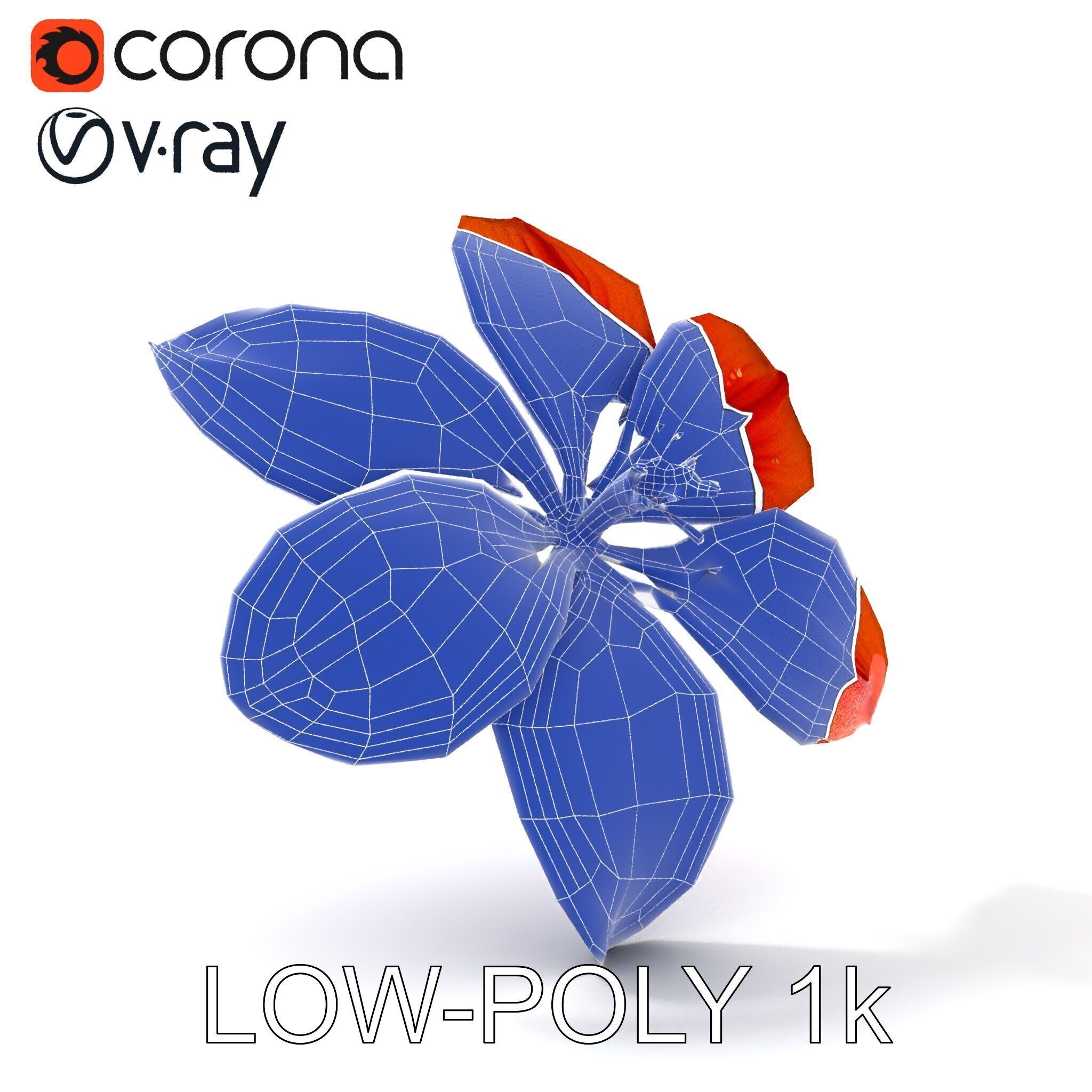 Realistic Orange Lily Flower D Model Pack Low-poly 3D model_15
