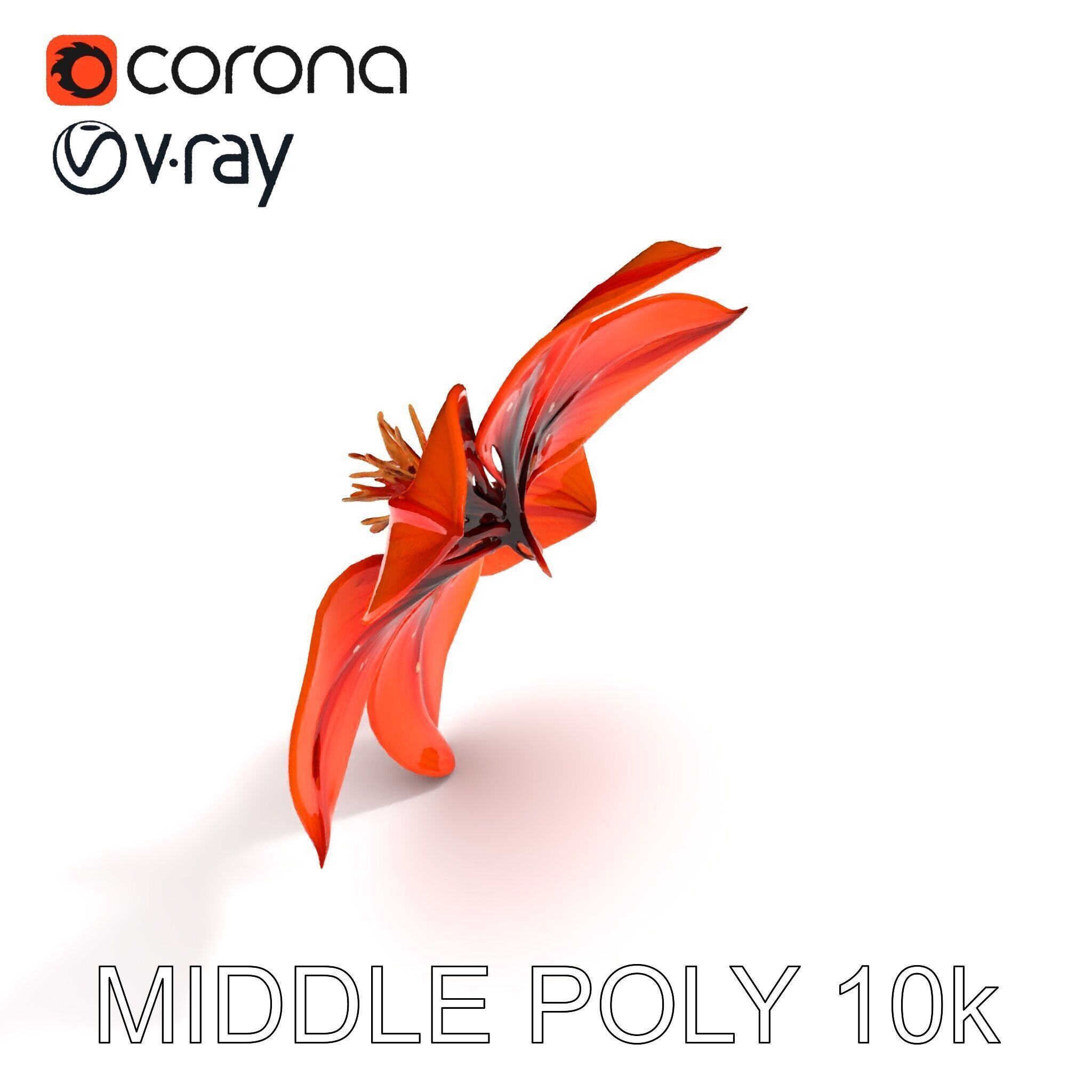Realistic Orange Lily Flower D Model Pack Low-poly 3D model_11