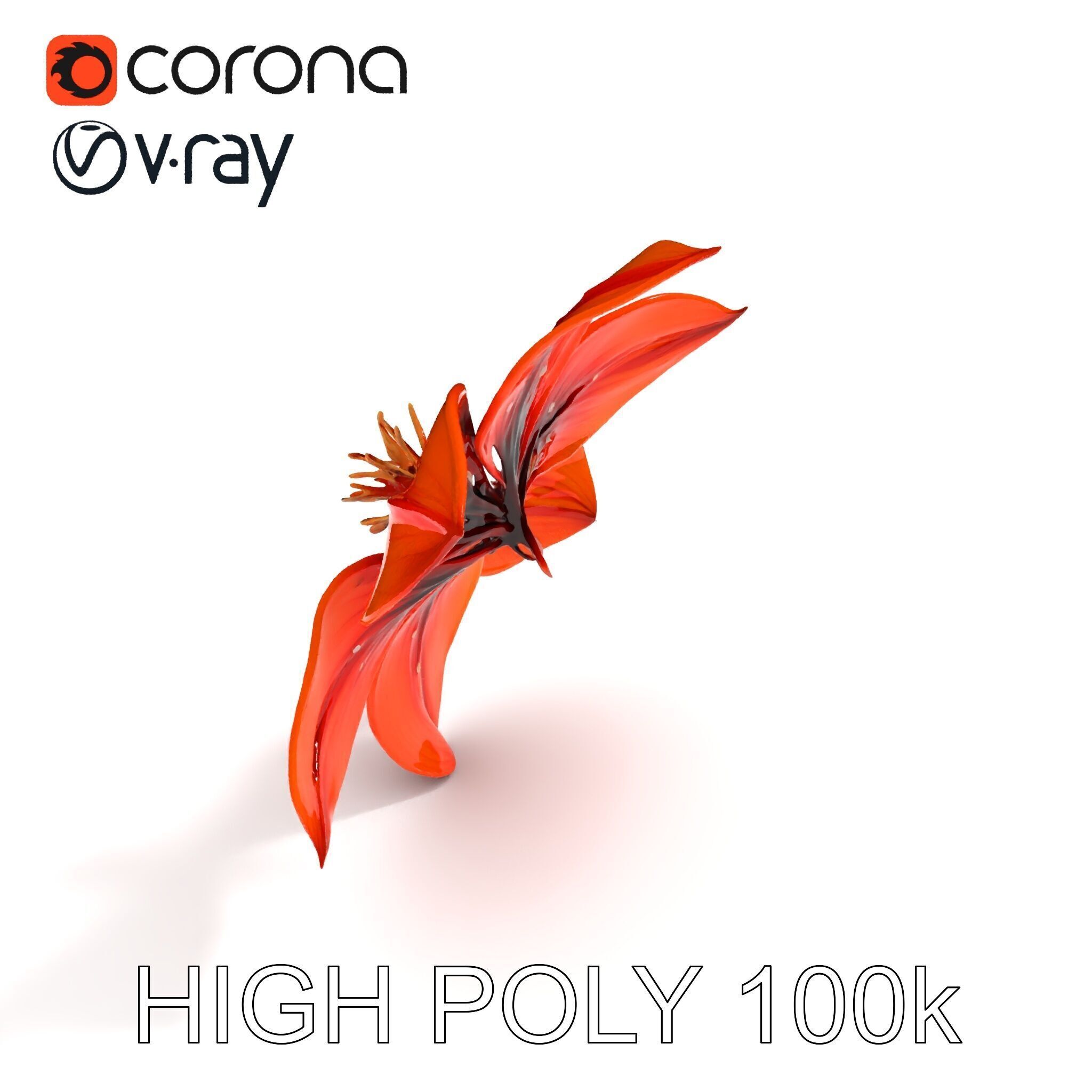 Realistic Orange Lily Flower D Model Pack Low-poly 3D model_27