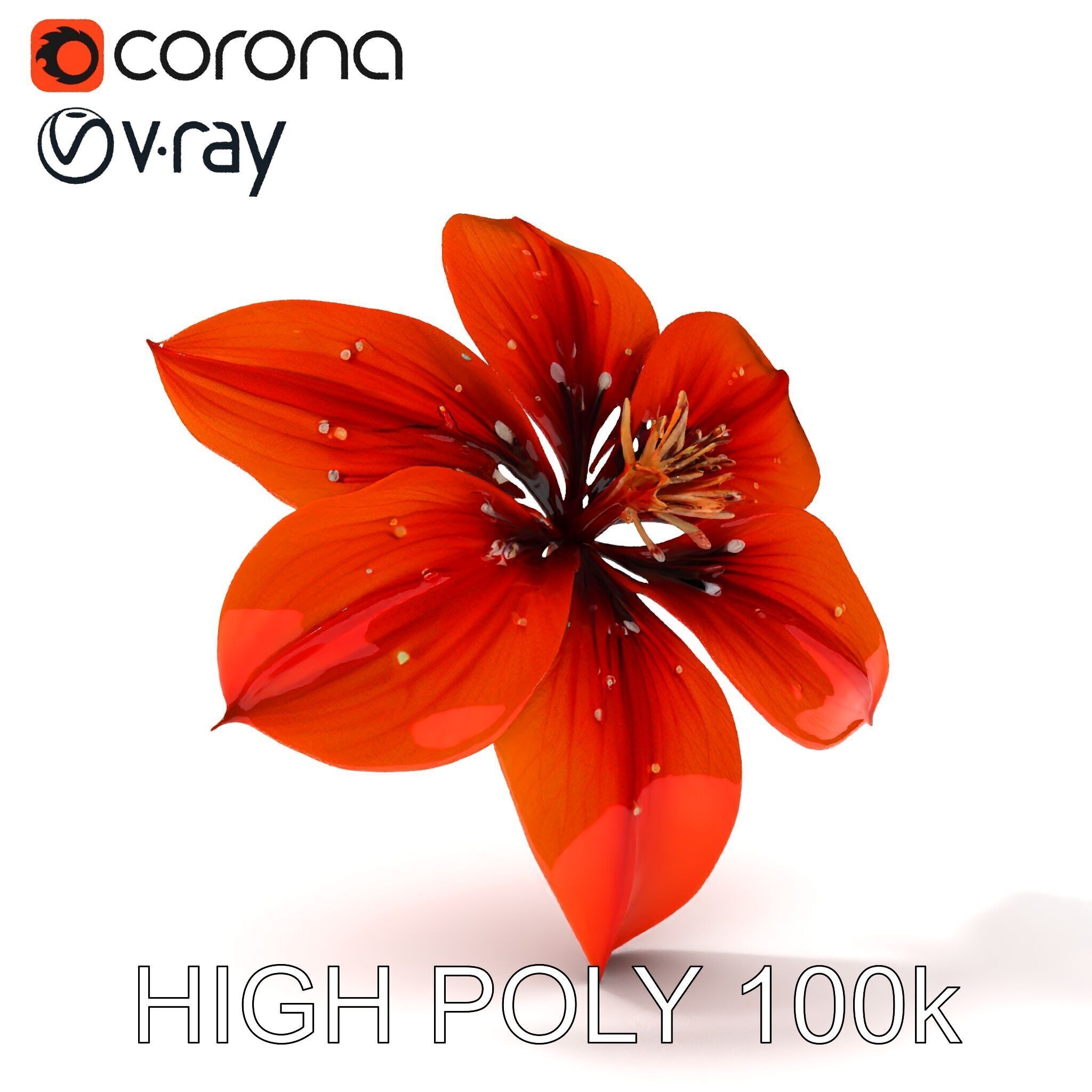 Realistic Orange Lily Flower D Model Pack Low-poly 3D model_35