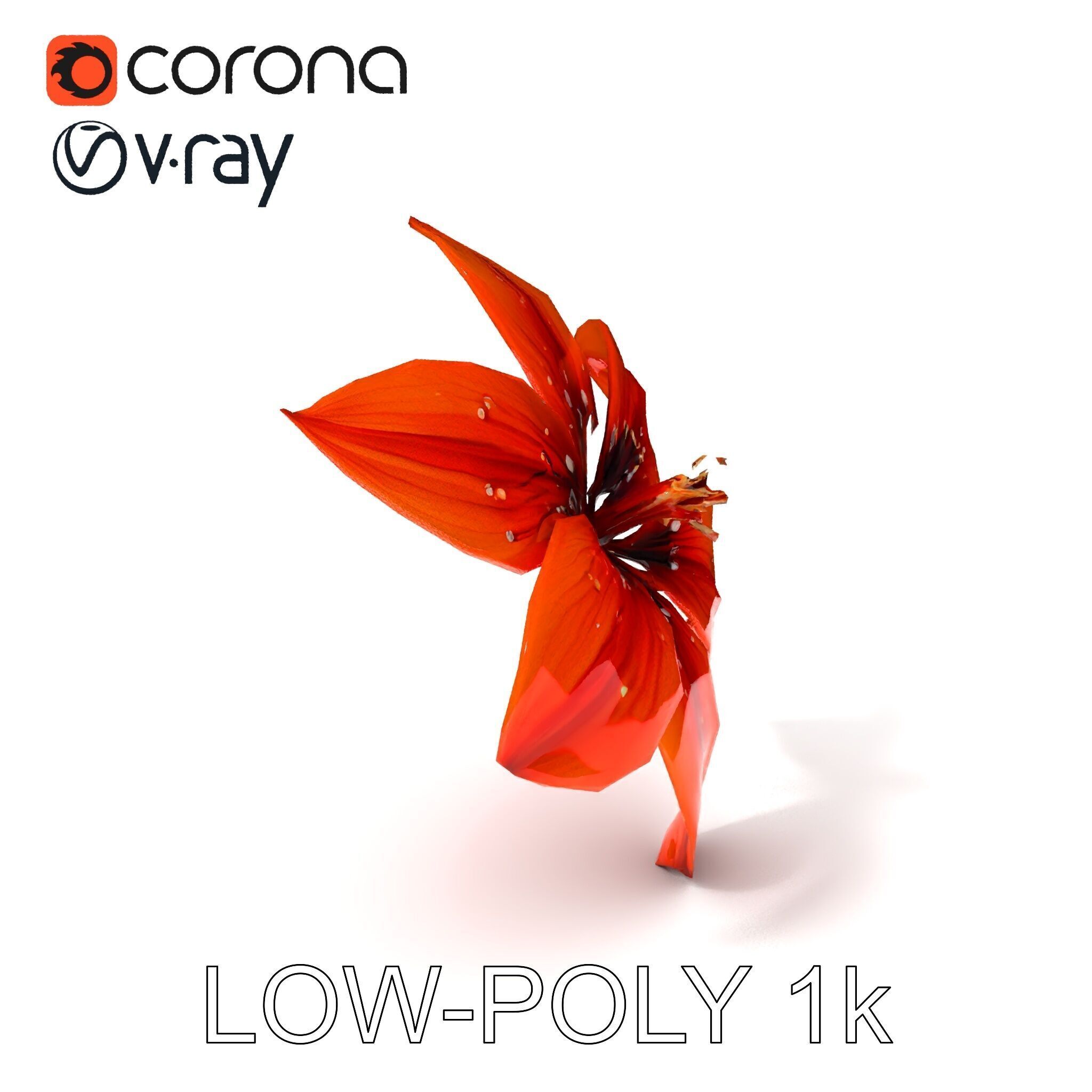 Realistic Orange Lily Flower D Model Pack Low-poly 3D model_32
