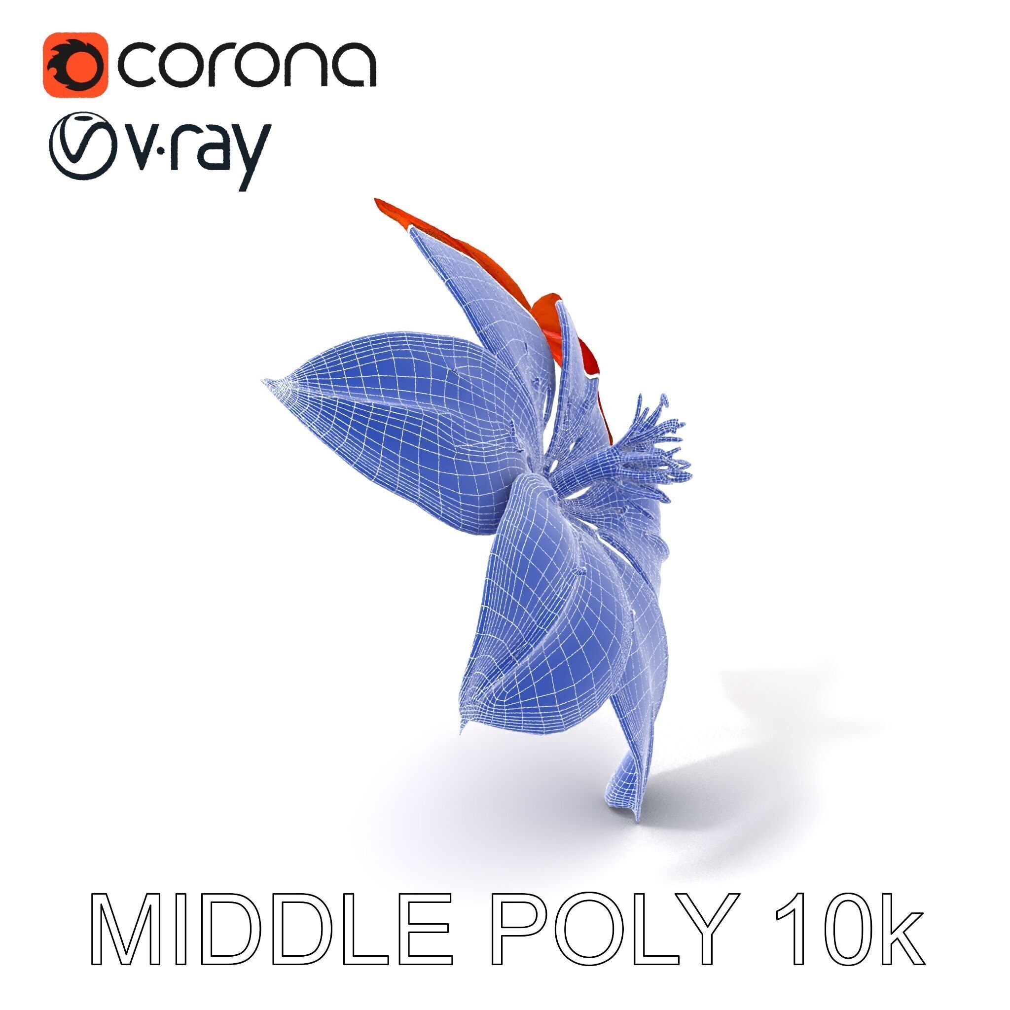 Realistic Orange Lily Flower D Model Pack Low-poly 3D model_20