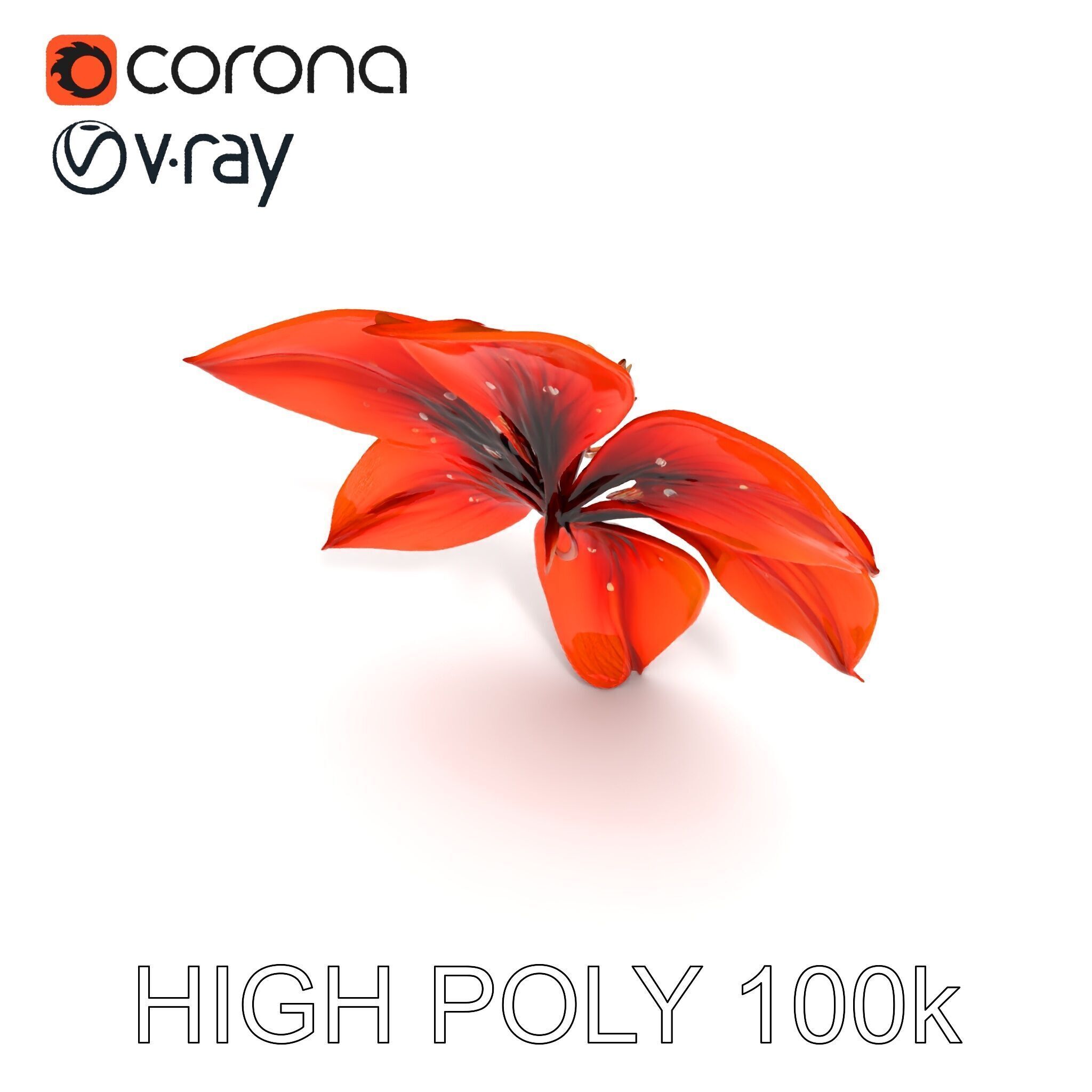 Realistic Orange Lily Flower D Model Pack Low-poly 3D model_24