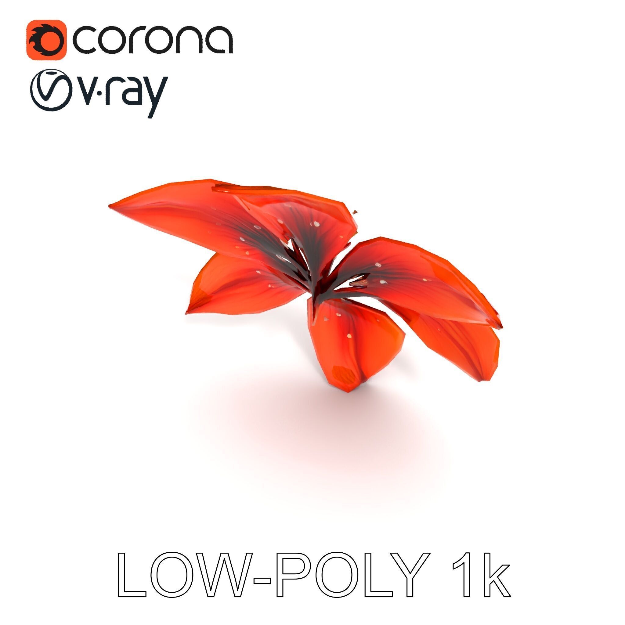 Realistic Orange Lily Flower D Model Pack Low-poly 3D model_26