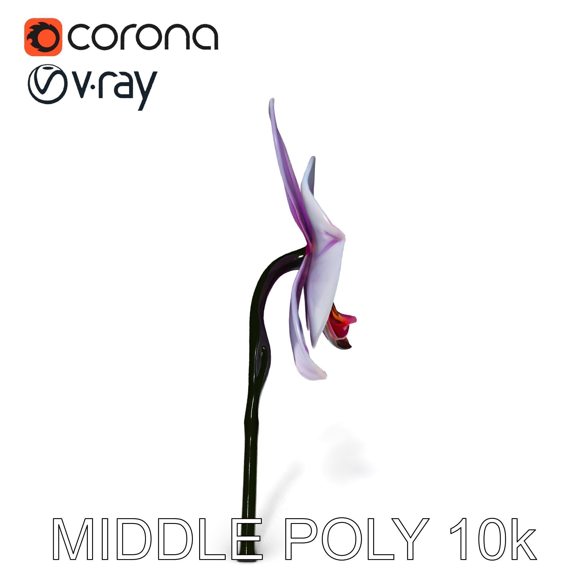 Orchid Flower Model Pack with Detailed Textures Low-poly 3D model_33