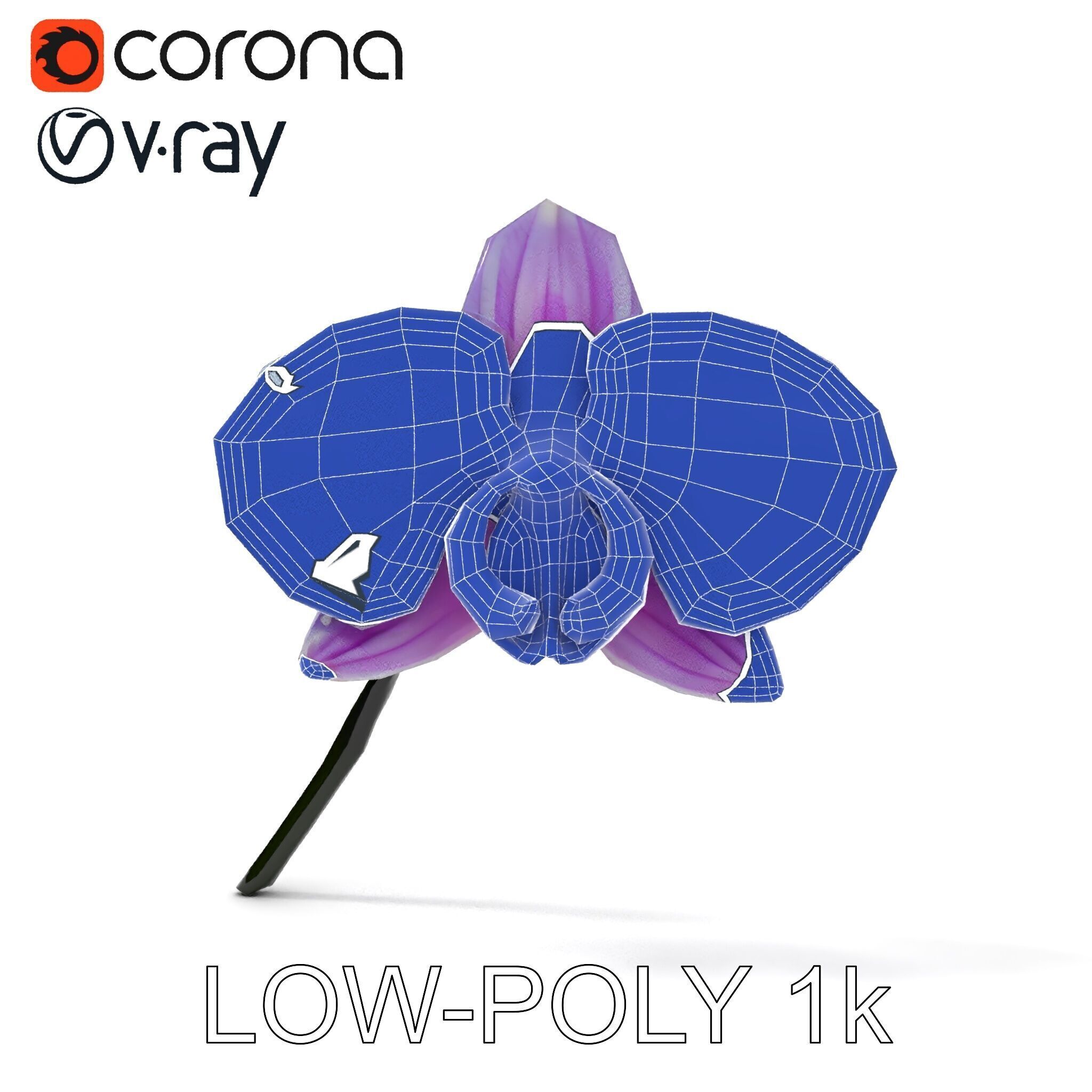 Orchid Flower Model Pack with Detailed Textures Low-poly 3D model_15