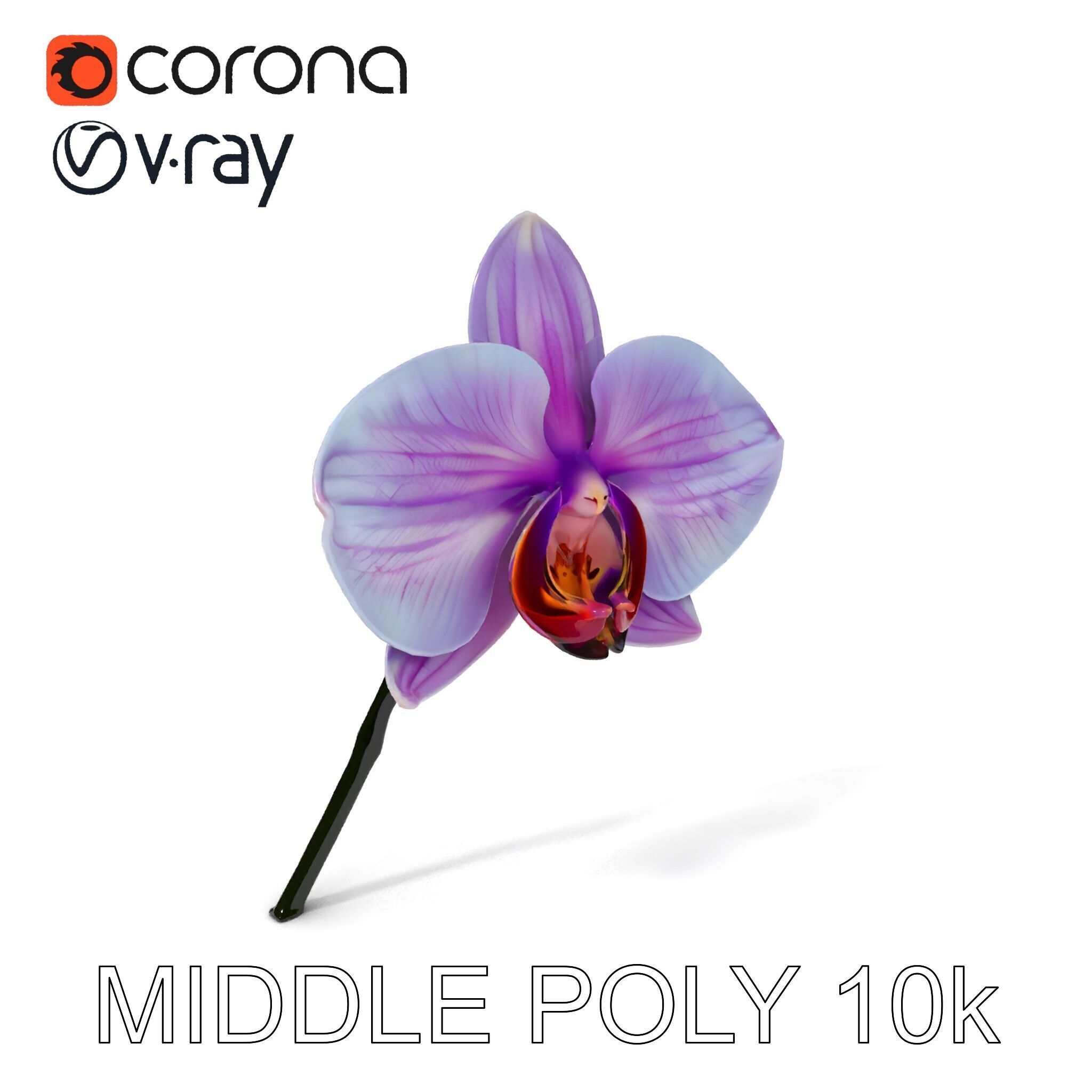 Orchid Flower Model Pack with Detailed Textures Low-poly 3D model_30