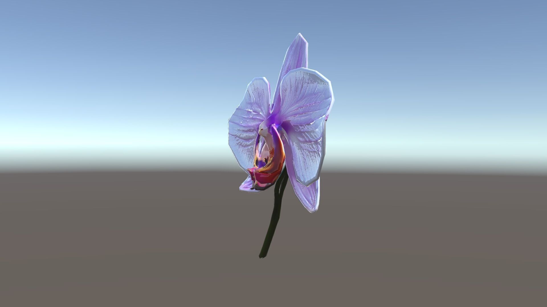 Orchid Flower Model Pack with Detailed Textures Low-poly 3D model_10