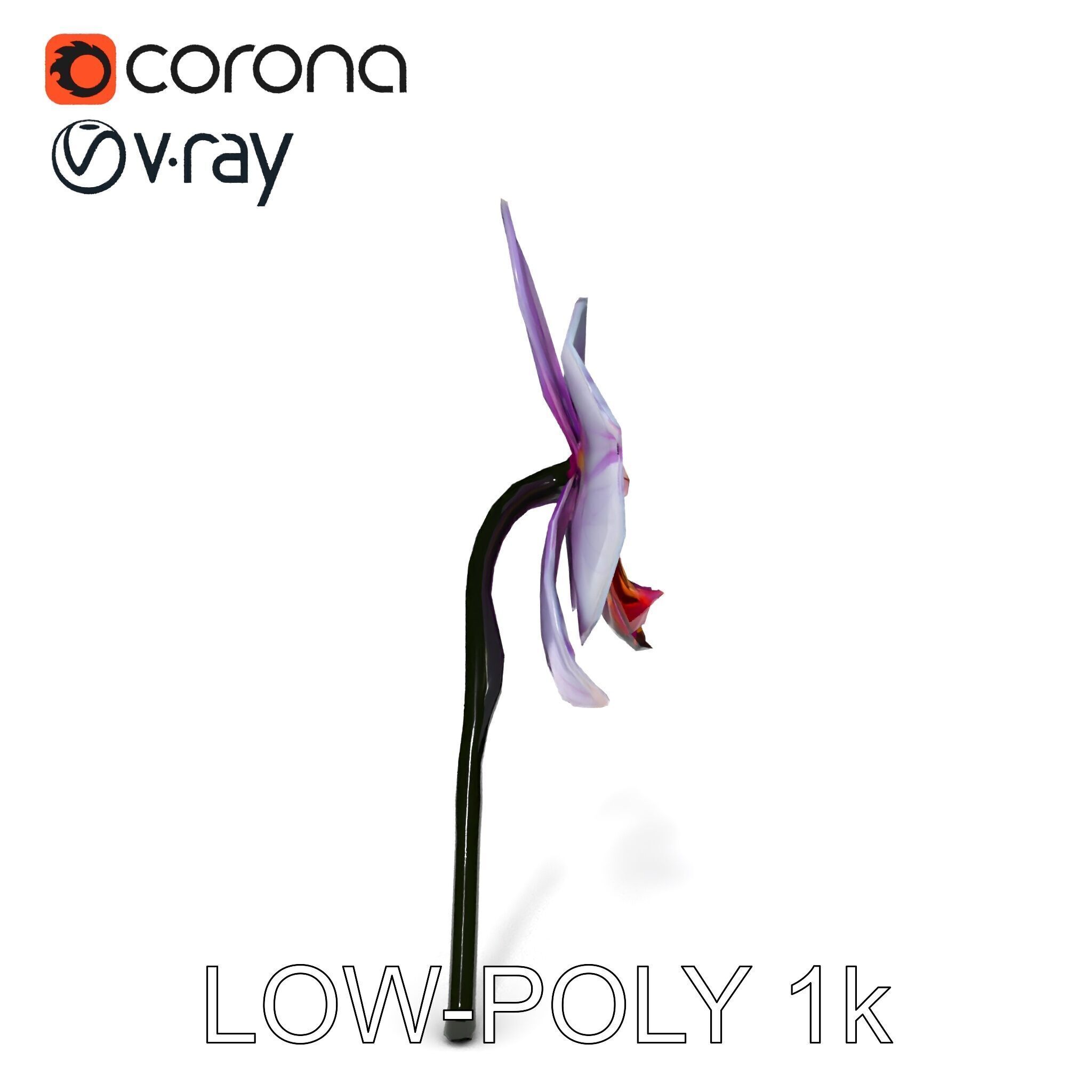 Orchid Flower Model Pack with Detailed Textures Low-poly 3D model_31