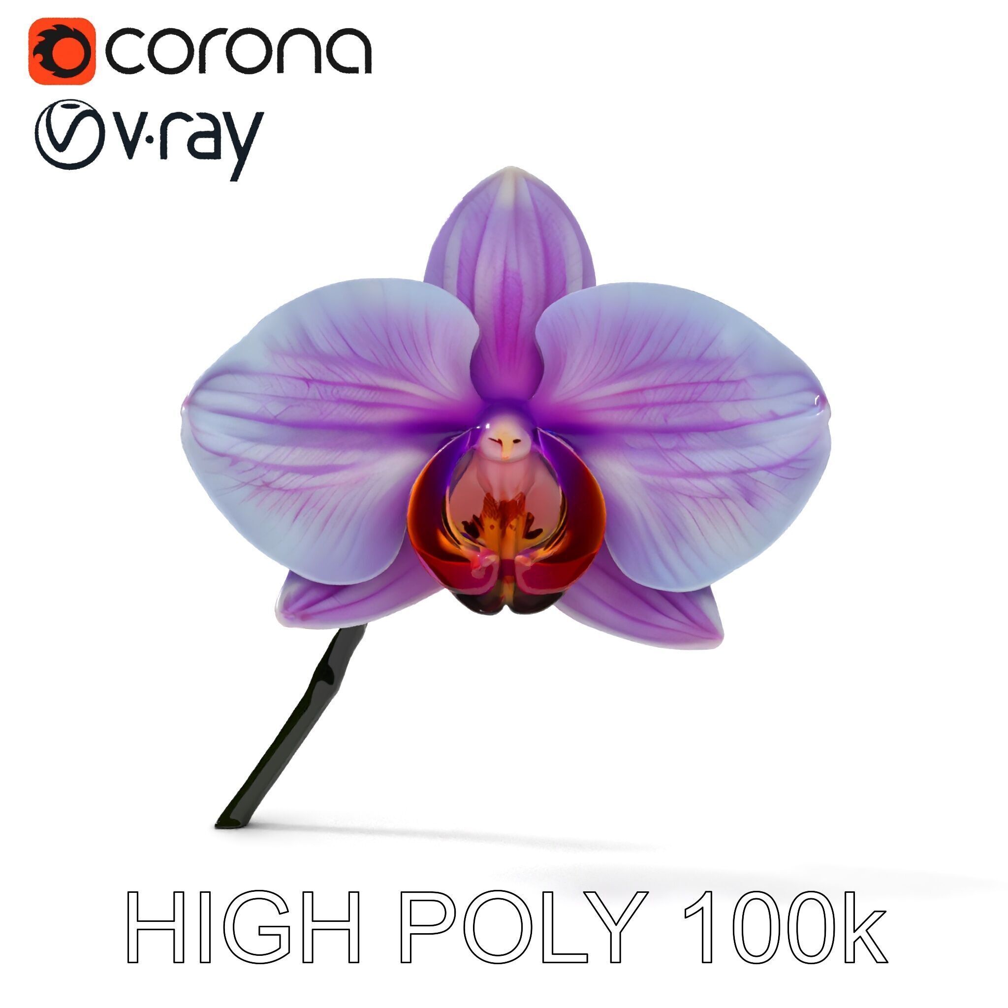 Orchid Flower Model Pack with Detailed Textures Low-poly 3D model_8