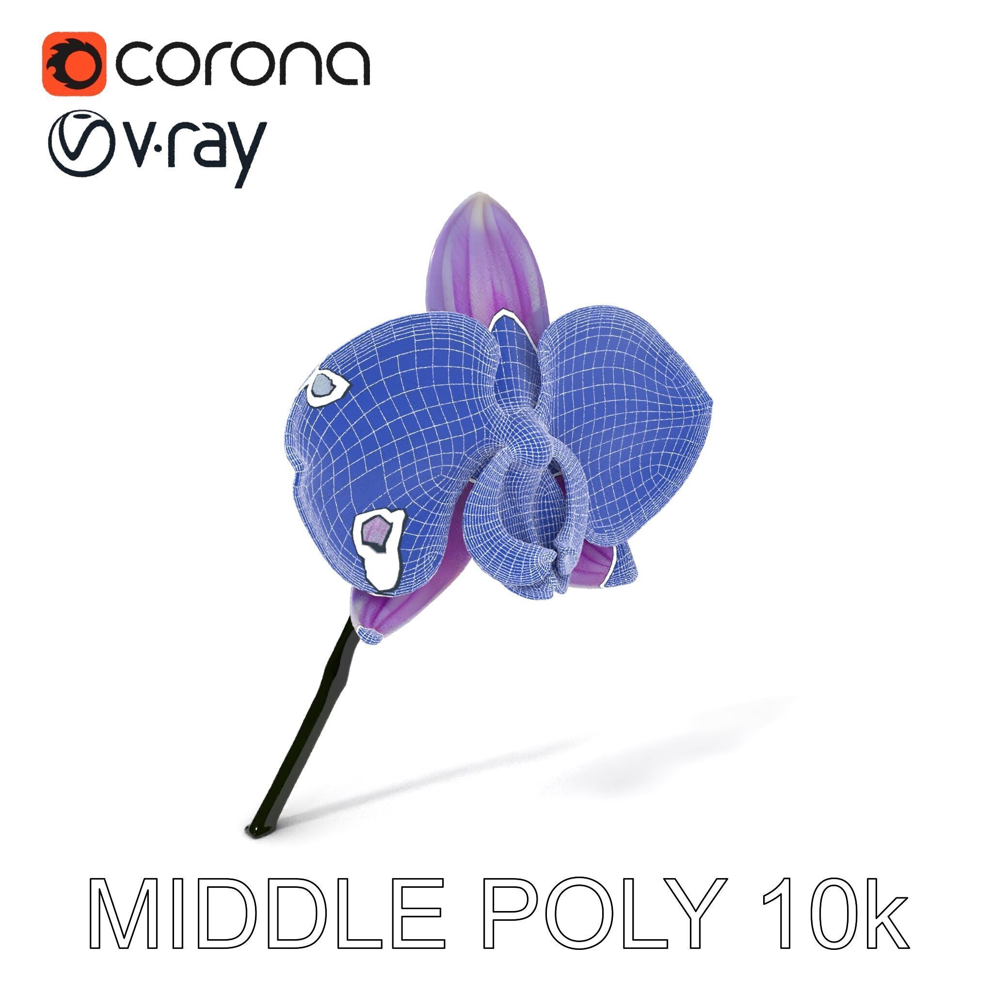 Orchid Flower Model Pack with Detailed Textures Low-poly 3D model_24