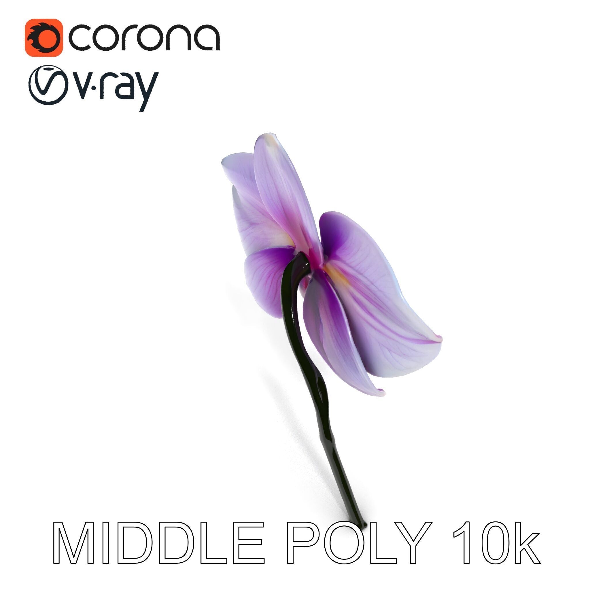 Orchid Flower Model Pack with Detailed Textures Low-poly 3D model_11