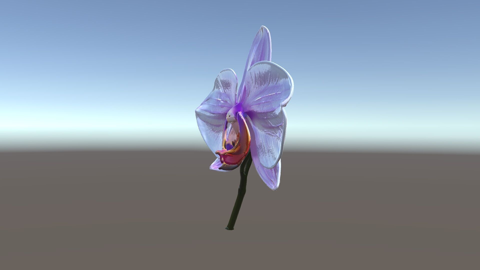 Orchid Flower Model Pack with Detailed Textures Low-poly 3D model_5