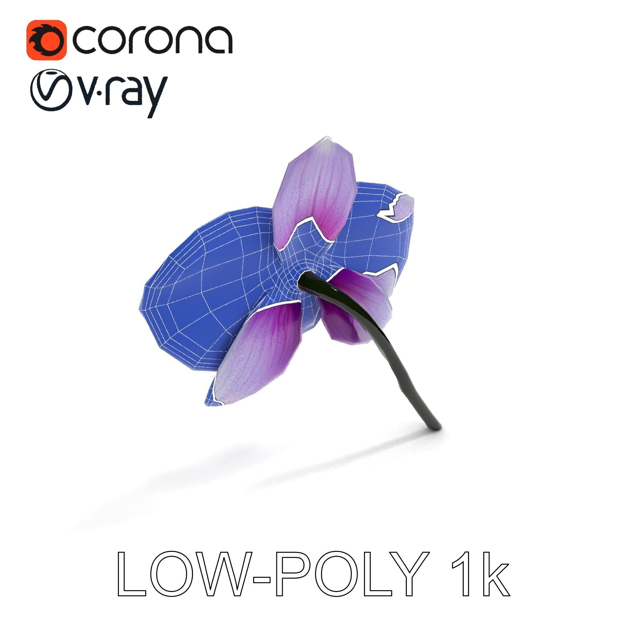 Orchid Flower Model Pack with Detailed Textures Low-poly 3D model_22