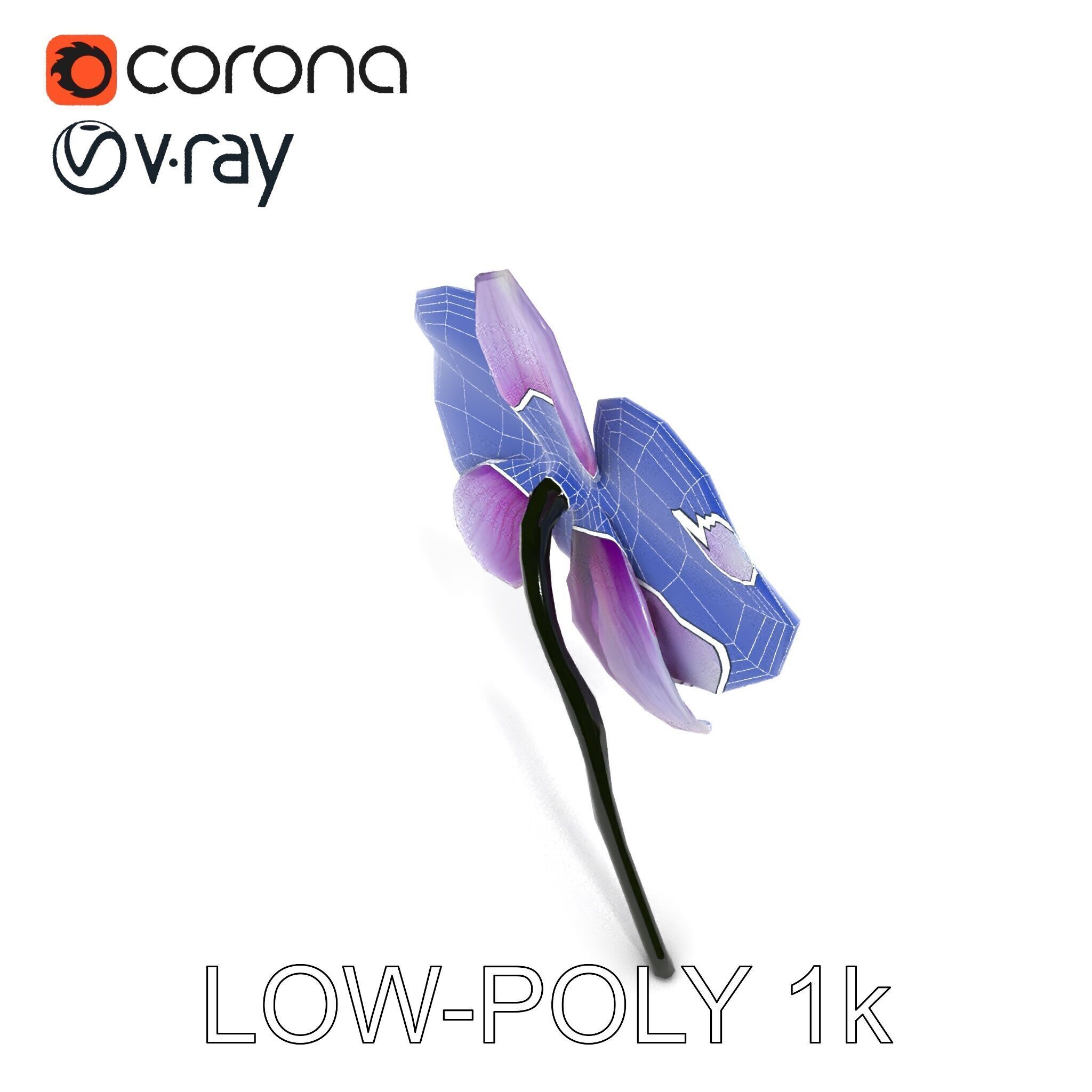 Orchid Flower Model Pack with Detailed Textures Low-poly 3D model_34