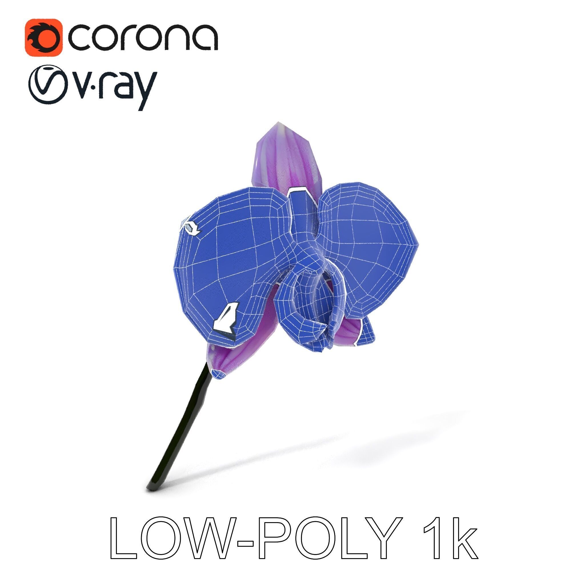 Orchid Flower Model Pack with Detailed Textures Low-poly 3D model_12