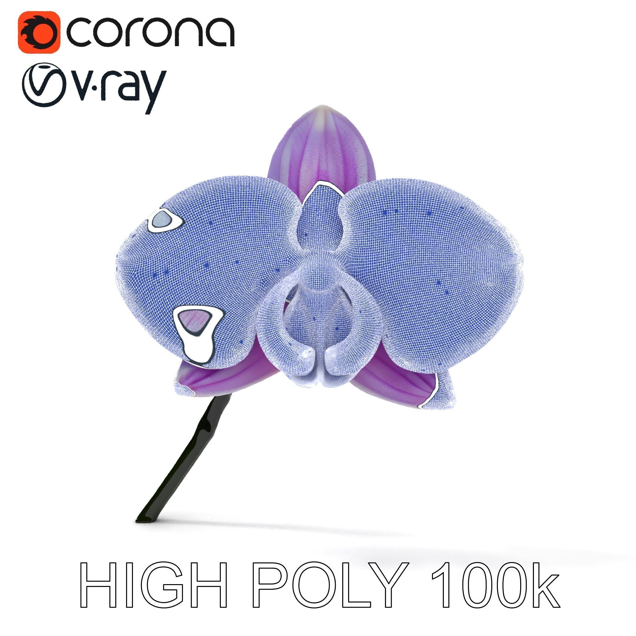 Orchid Flower Model Pack with Detailed Textures Low-poly 3D model_13