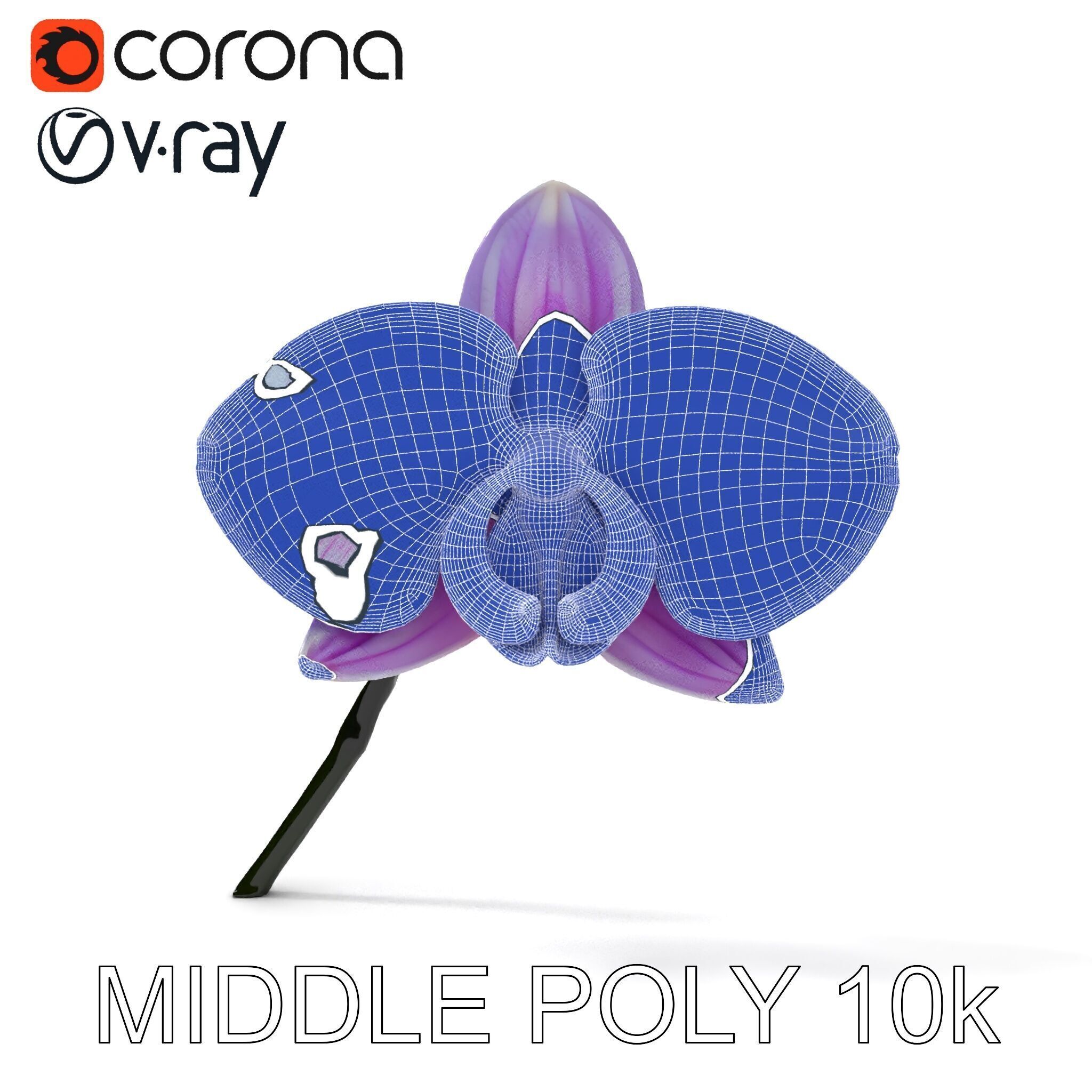 Orchid Flower Model Pack with Detailed Textures Low-poly 3D model_16
