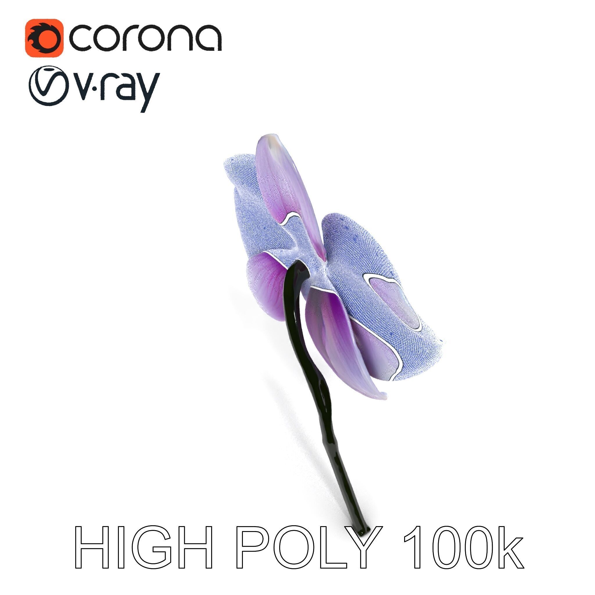 Orchid Flower Model Pack with Detailed Textures Low-poly 3D model_18