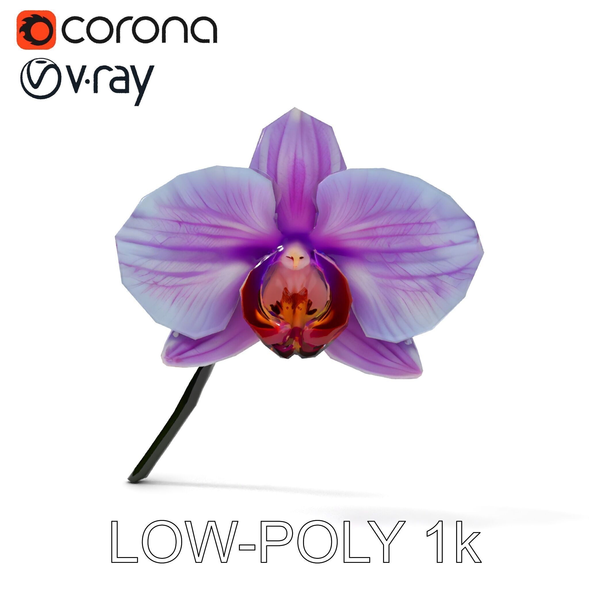 Orchid Flower Model Pack with Detailed Textures Low-poly 3D model_25