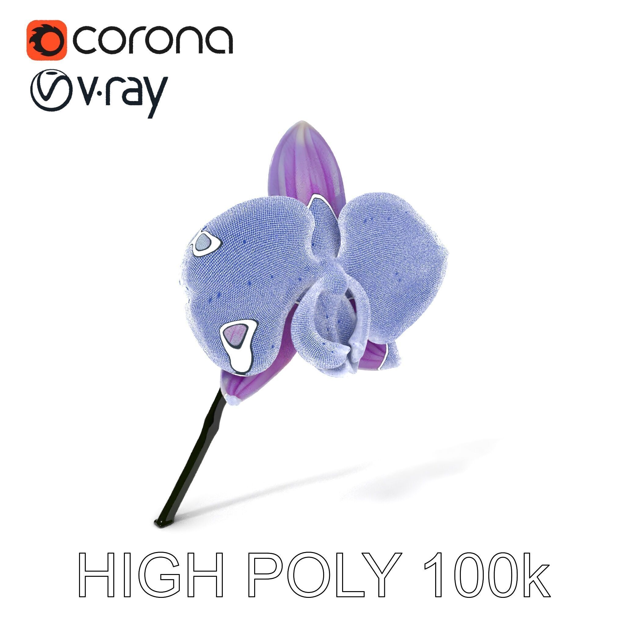 Orchid Flower Model Pack with Detailed Textures Low-poly 3D model_3