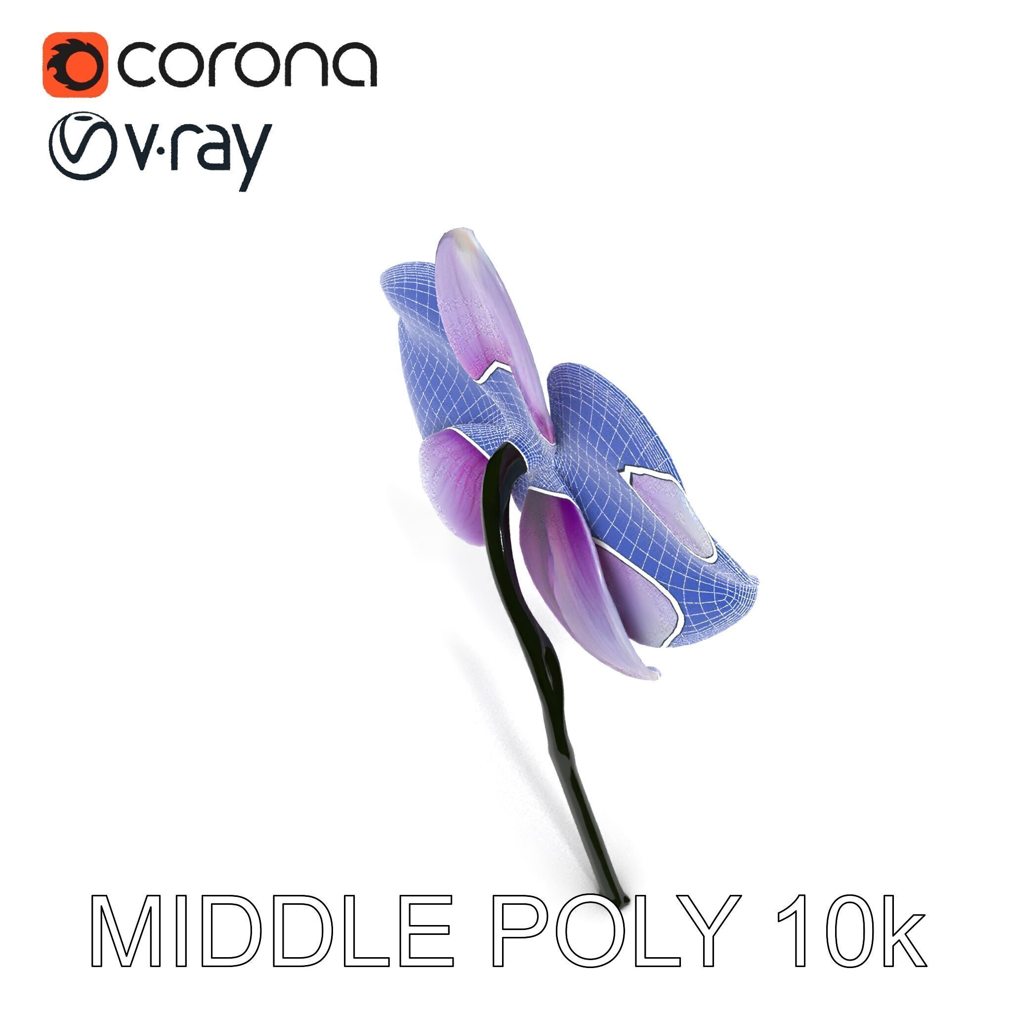 Orchid Flower Model Pack with Detailed Textures Low-poly 3D model_27
