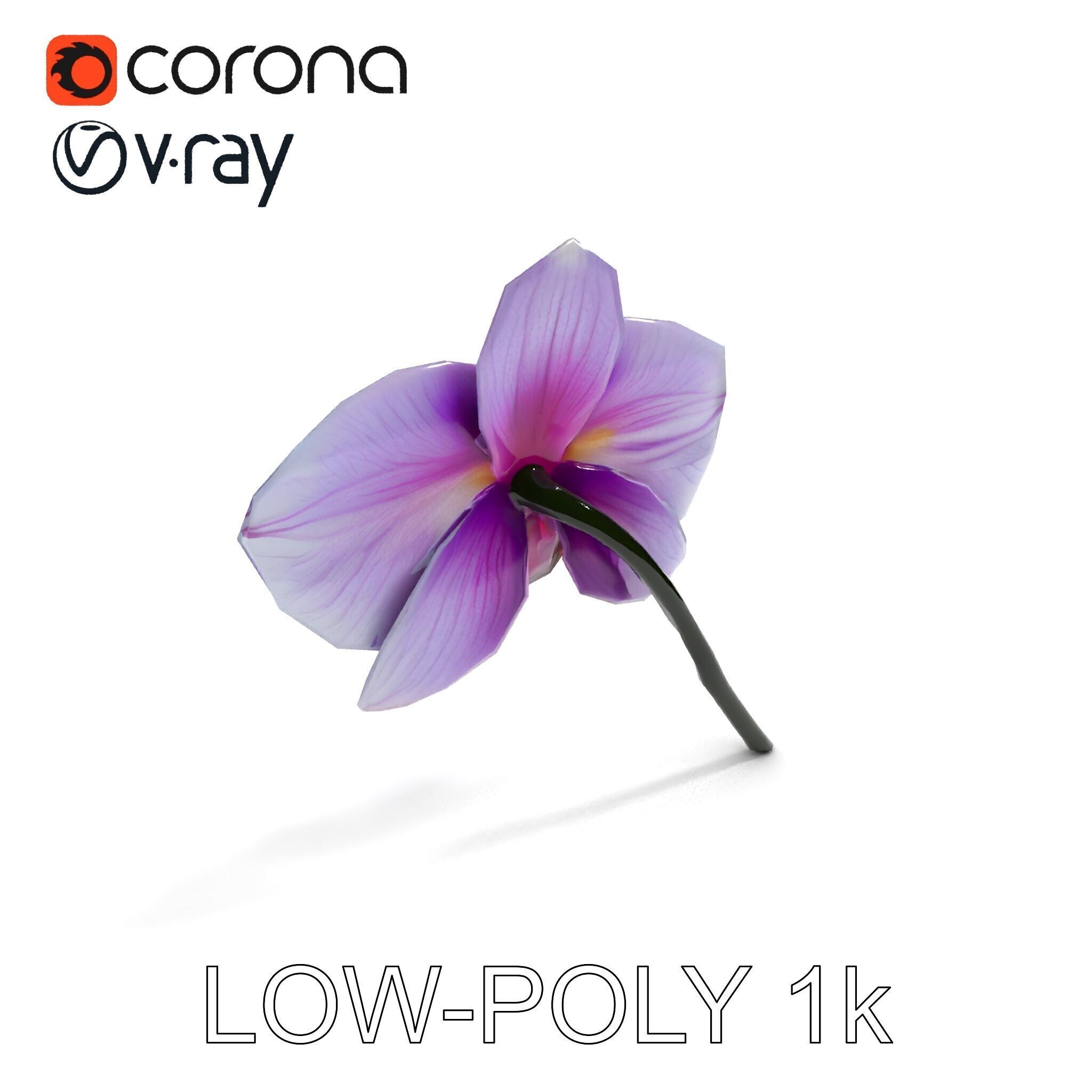 Orchid Flower Model Pack with Detailed Textures Low-poly 3D model_20