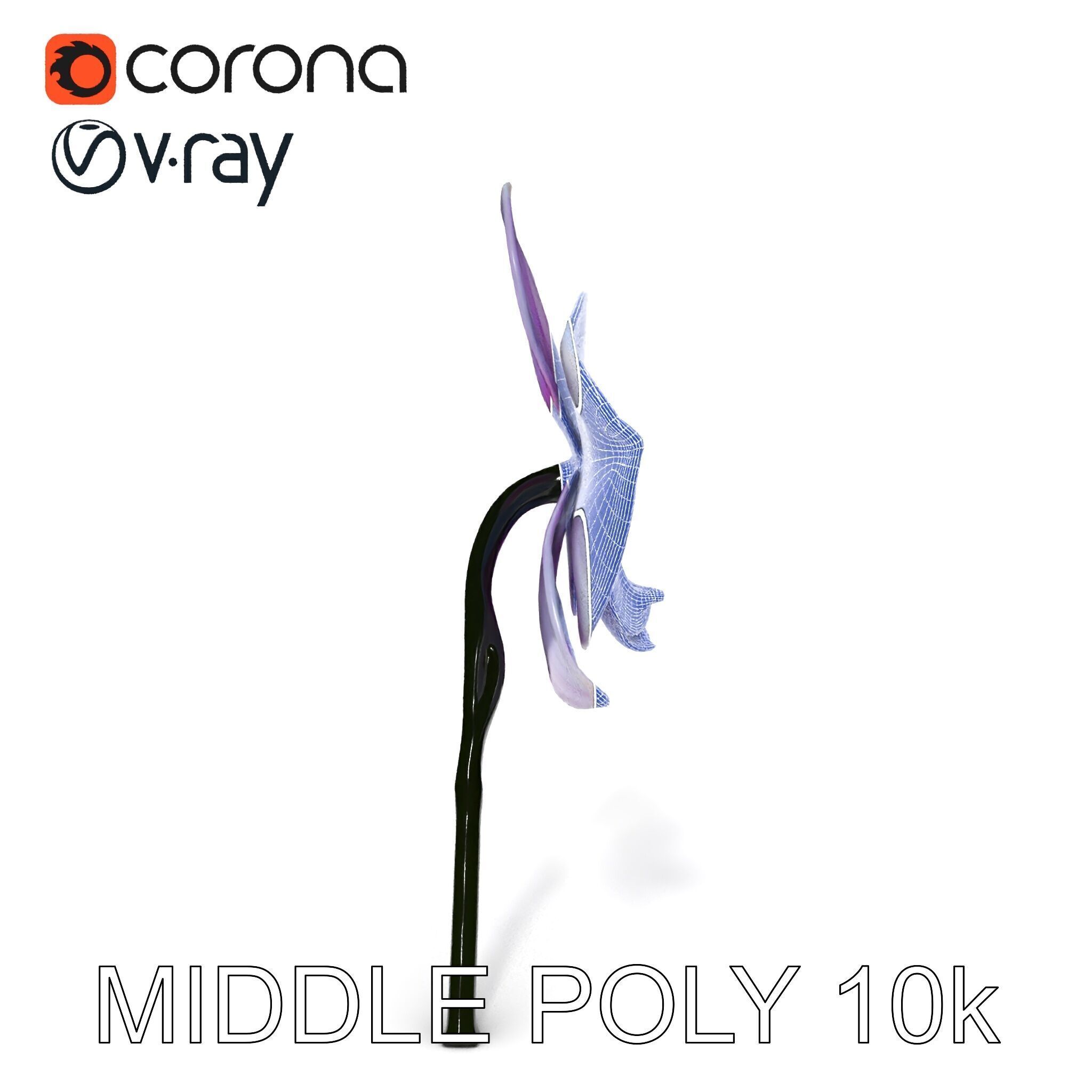 Orchid Flower Model Pack with Detailed Textures Low-poly 3D model_14