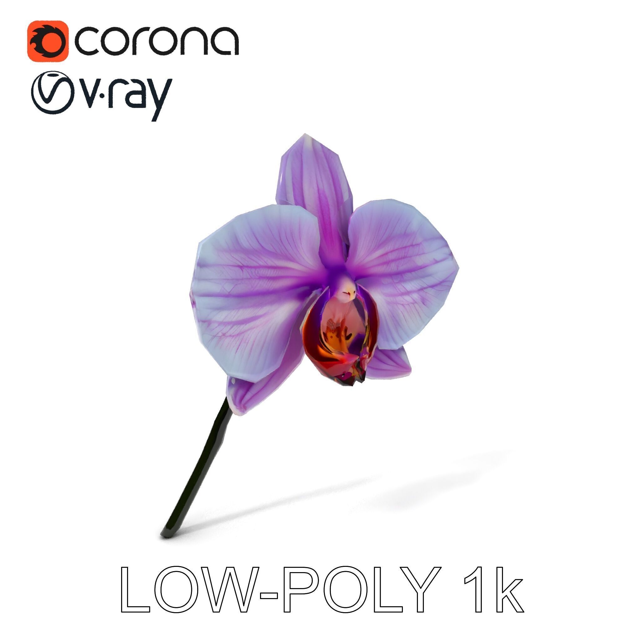 Orchid Flower Model Pack with Detailed Textures Low-poly 3D model_7
