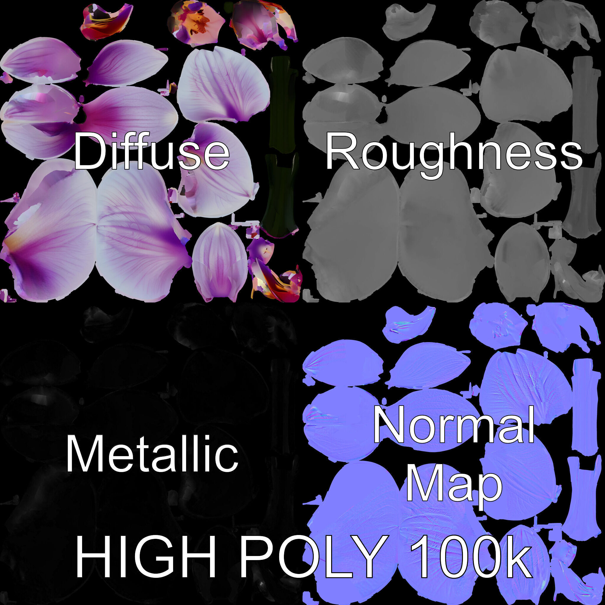 Orchid Flower Model Pack with Detailed Textures Low-poly 3D model_2