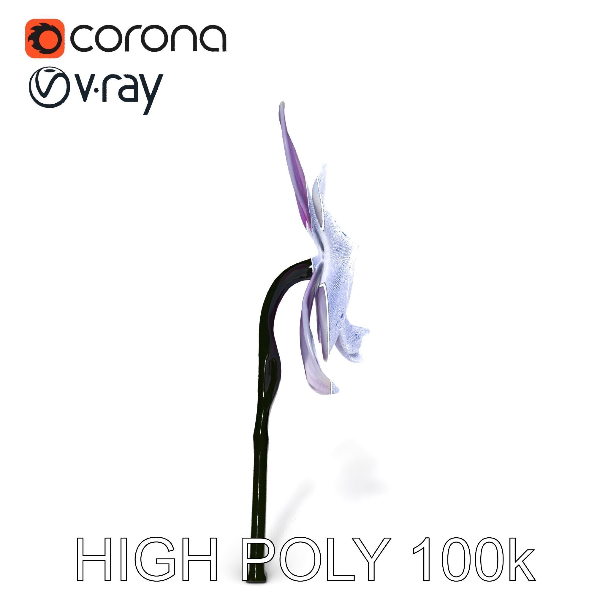 Orchid Flower Model Pack with Detailed Textures Low-poly 3D model_32