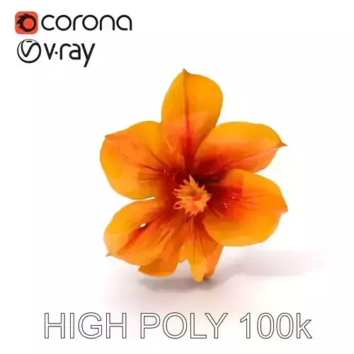 Vibrant Flower Petal Model Pack for Realistic Renderings