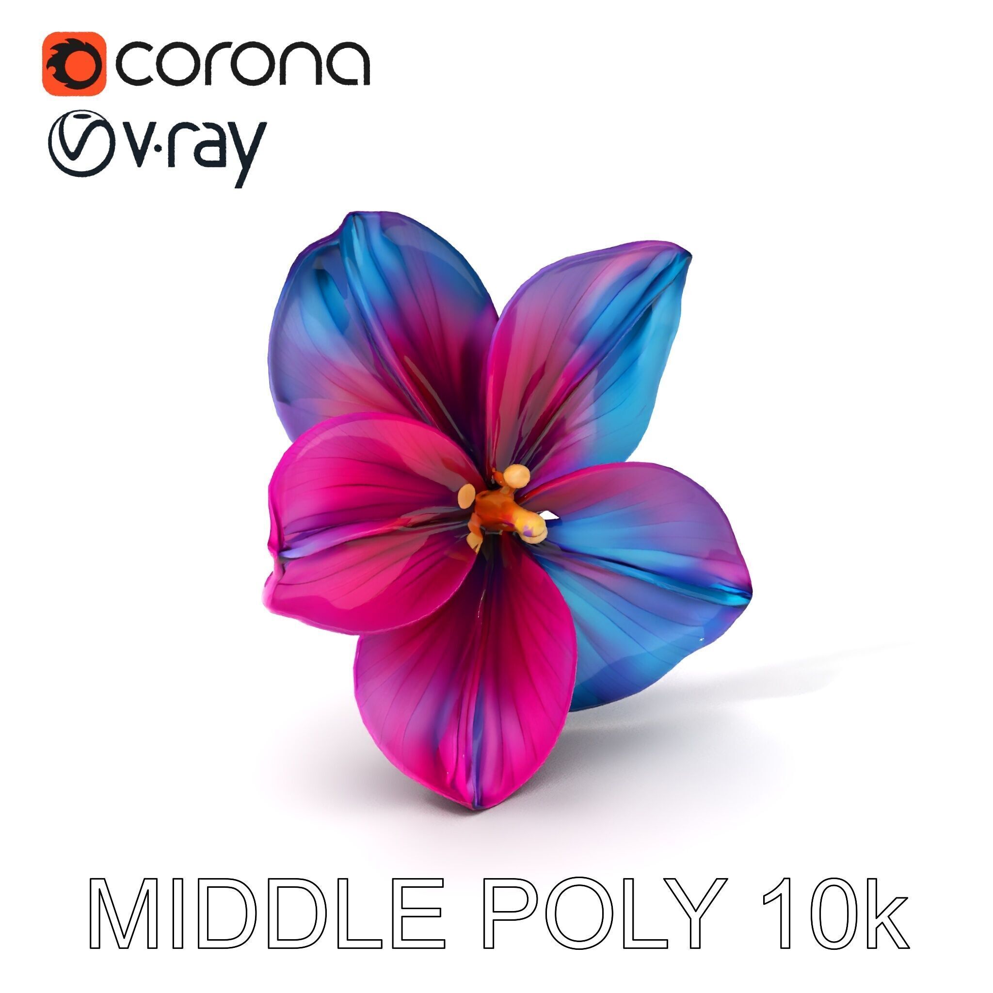 Vibrant Multicolor Flower Model Pack for D Rendering and Anim... Low-poly 3D model_15
