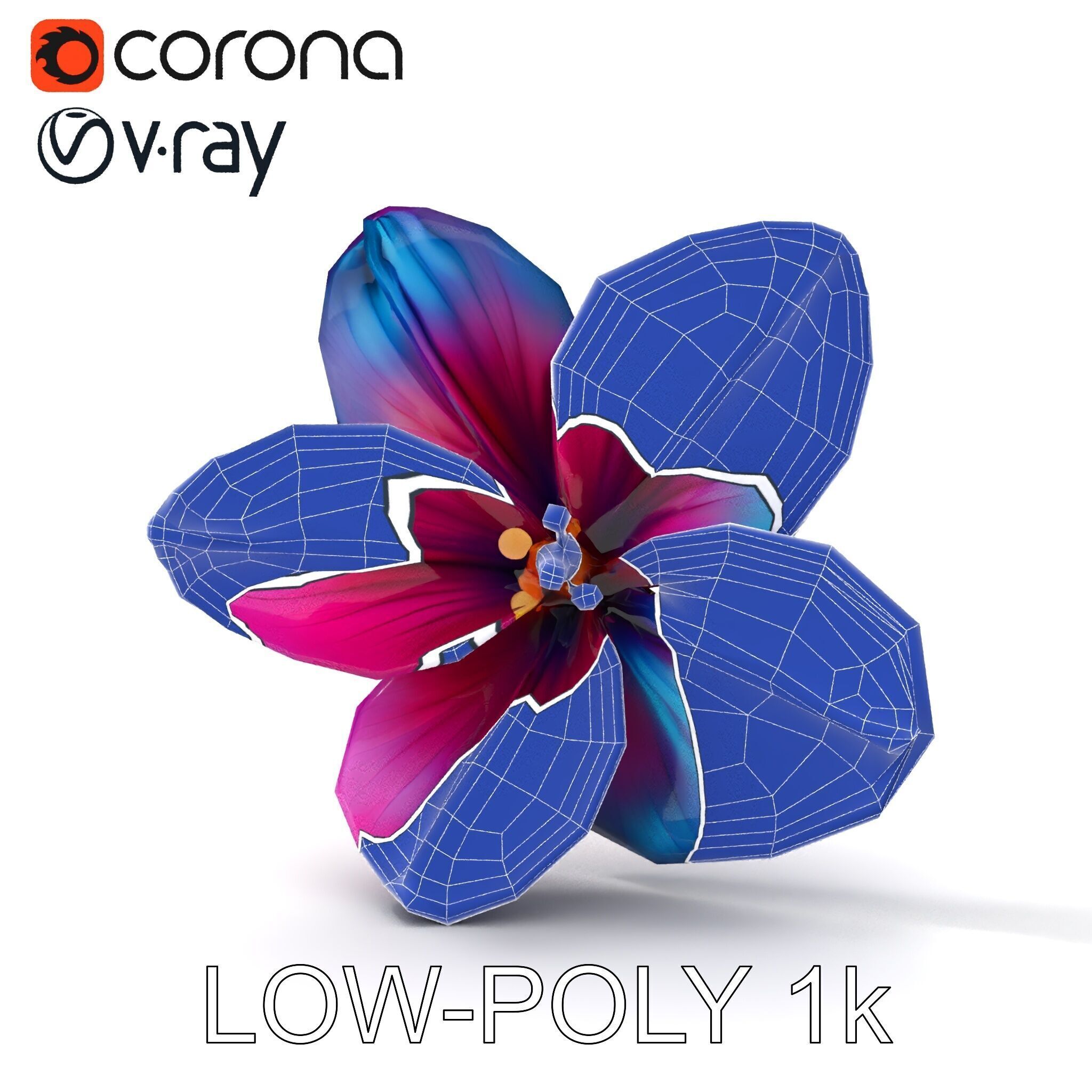 Vibrant Multicolor Flower Model Pack for D Rendering and Anim... Low-poly 3D model_27