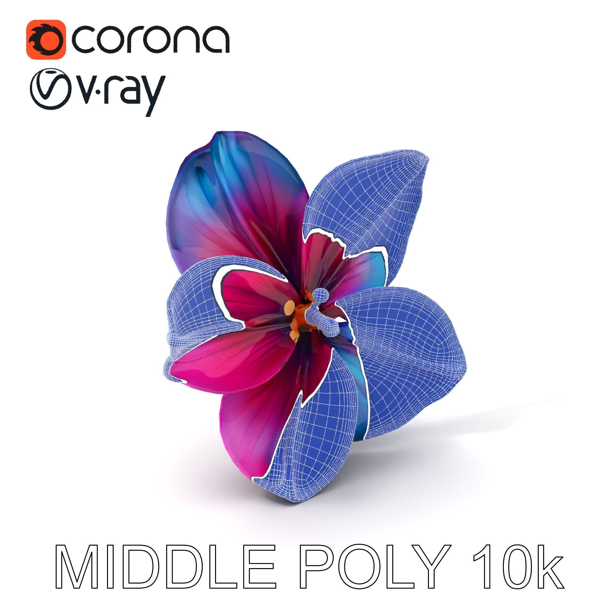 Vibrant Multicolor Flower Model Pack for D Rendering and Anim... Low-poly 3D model_21