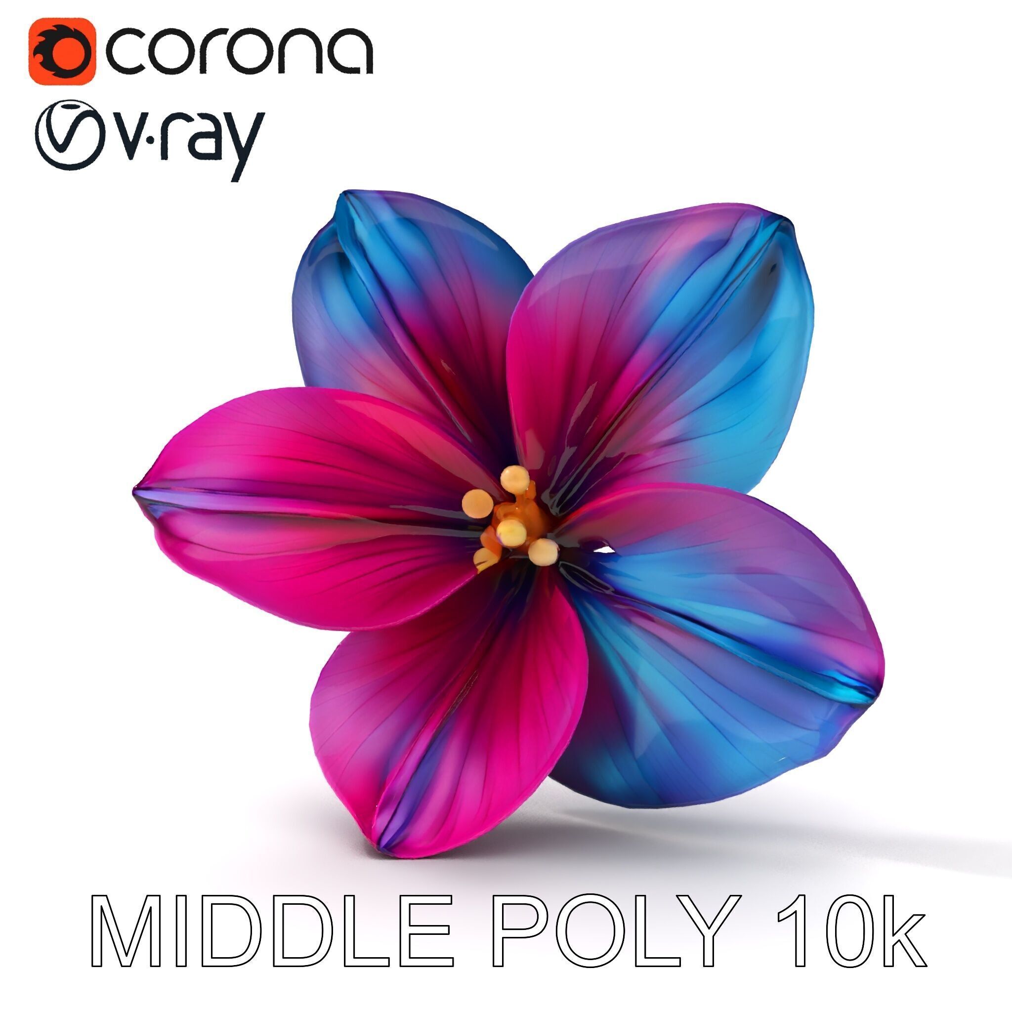 Vibrant Multicolor Flower Model Pack for D Rendering and Anim... Low-poly 3D model_31