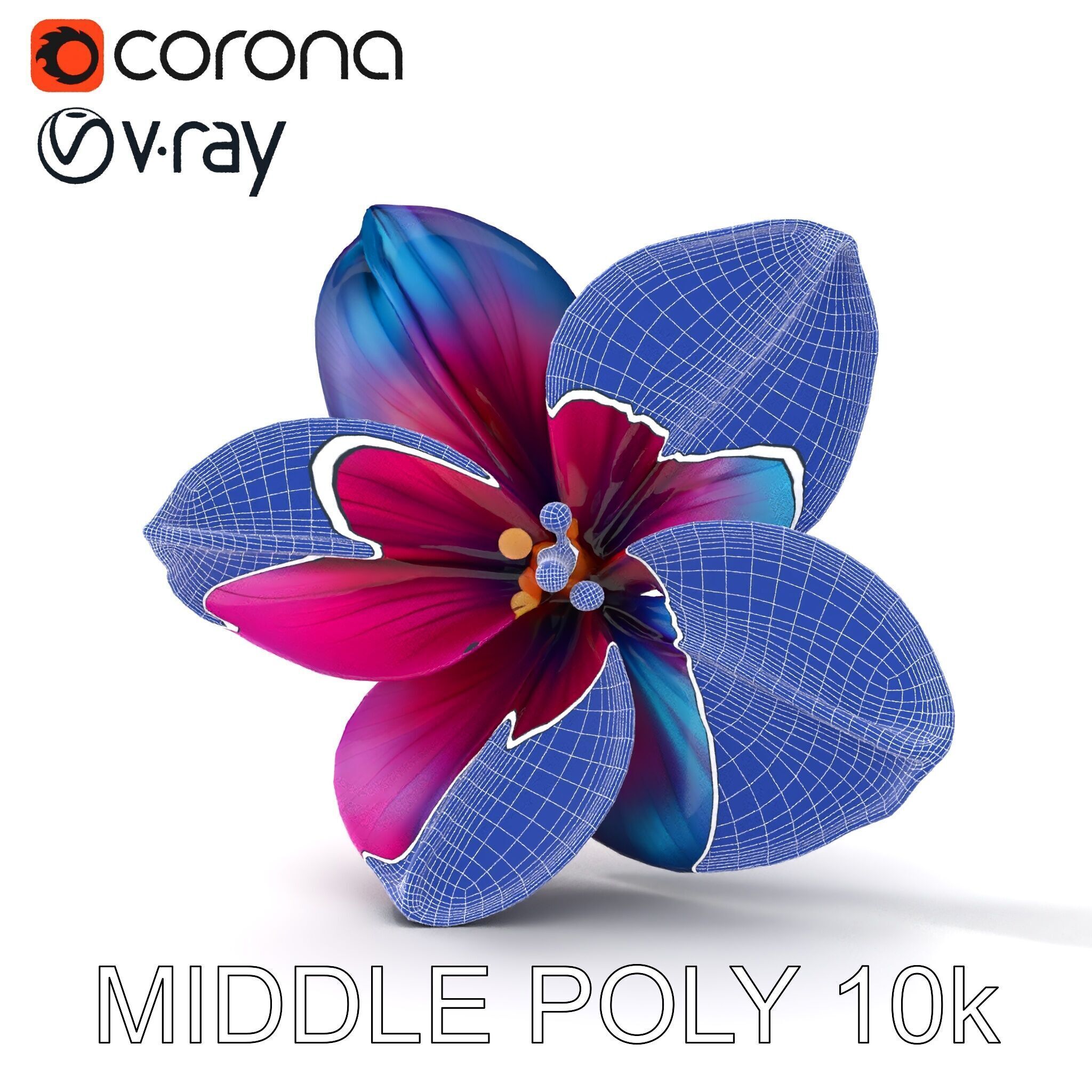 Vibrant Multicolor Flower Model Pack for D Rendering and Anim... Low-poly 3D model_18