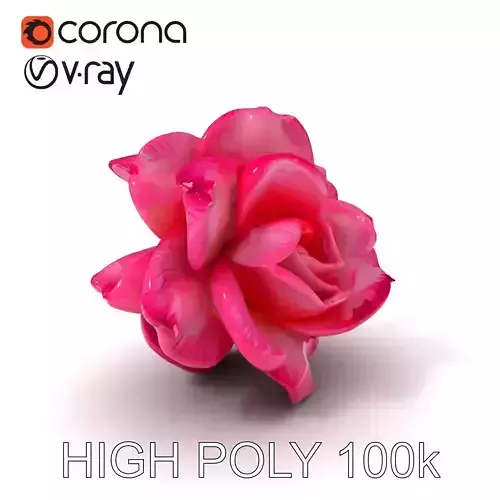 Realistic Pink Rose D Model Pack