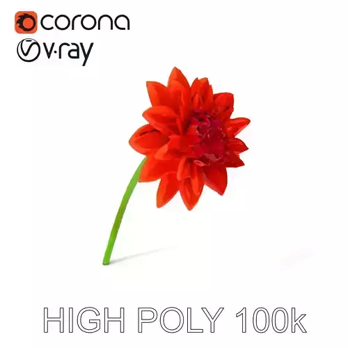 Realistic Flower Model Pack for Visual Environments