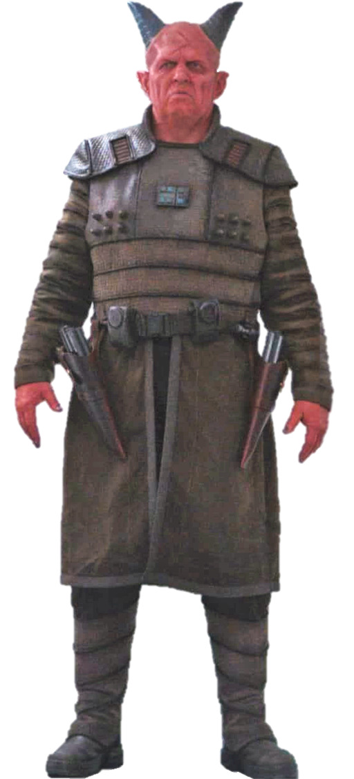 Star wars Mandalorian articulated BURG 3D print model_6