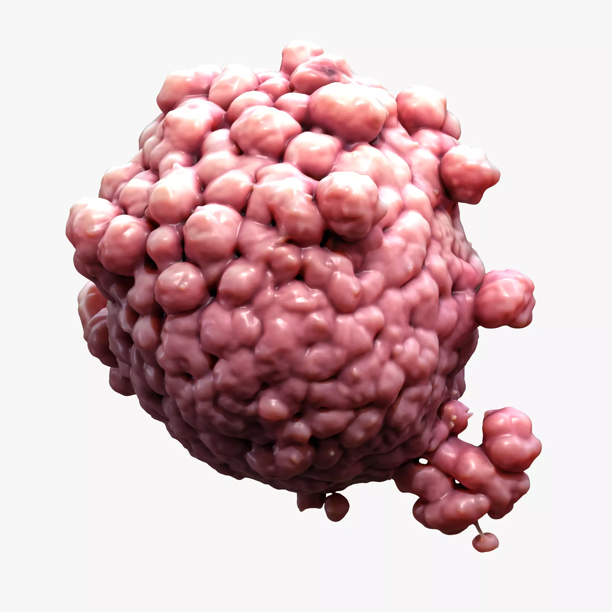 Cancer Cell Tumor 3D model