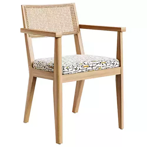 Sloane Cane Chair with Armrest 3D model