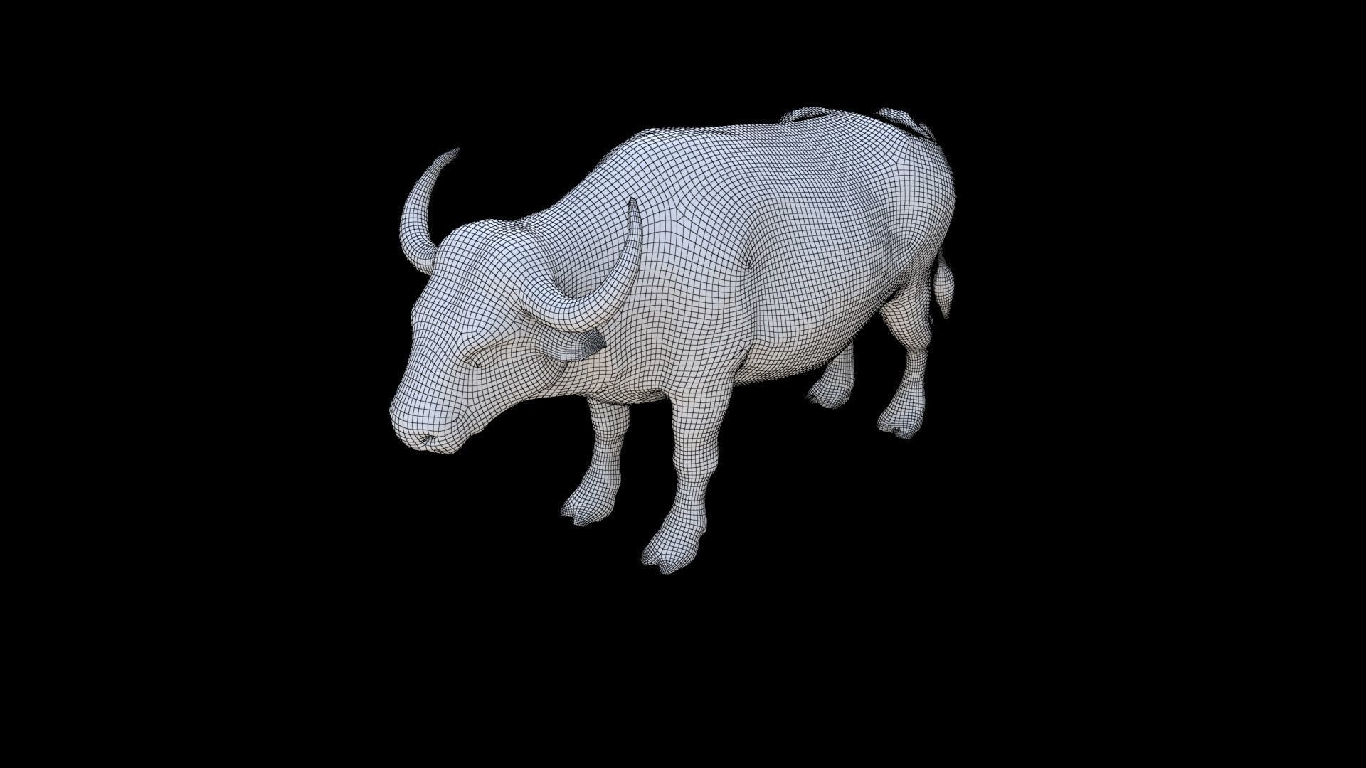 African Buffalo 3D model_5