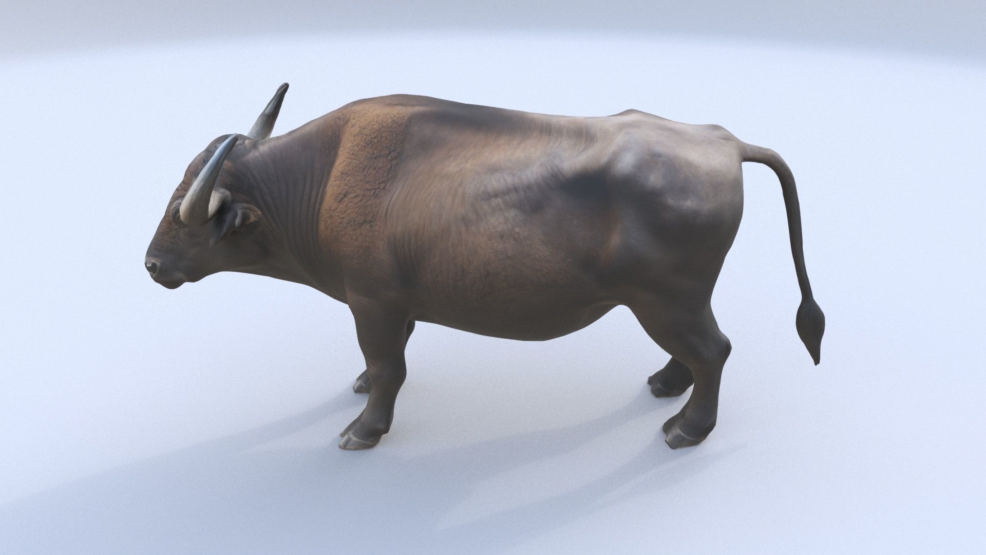 African Buffalo 3D model_1