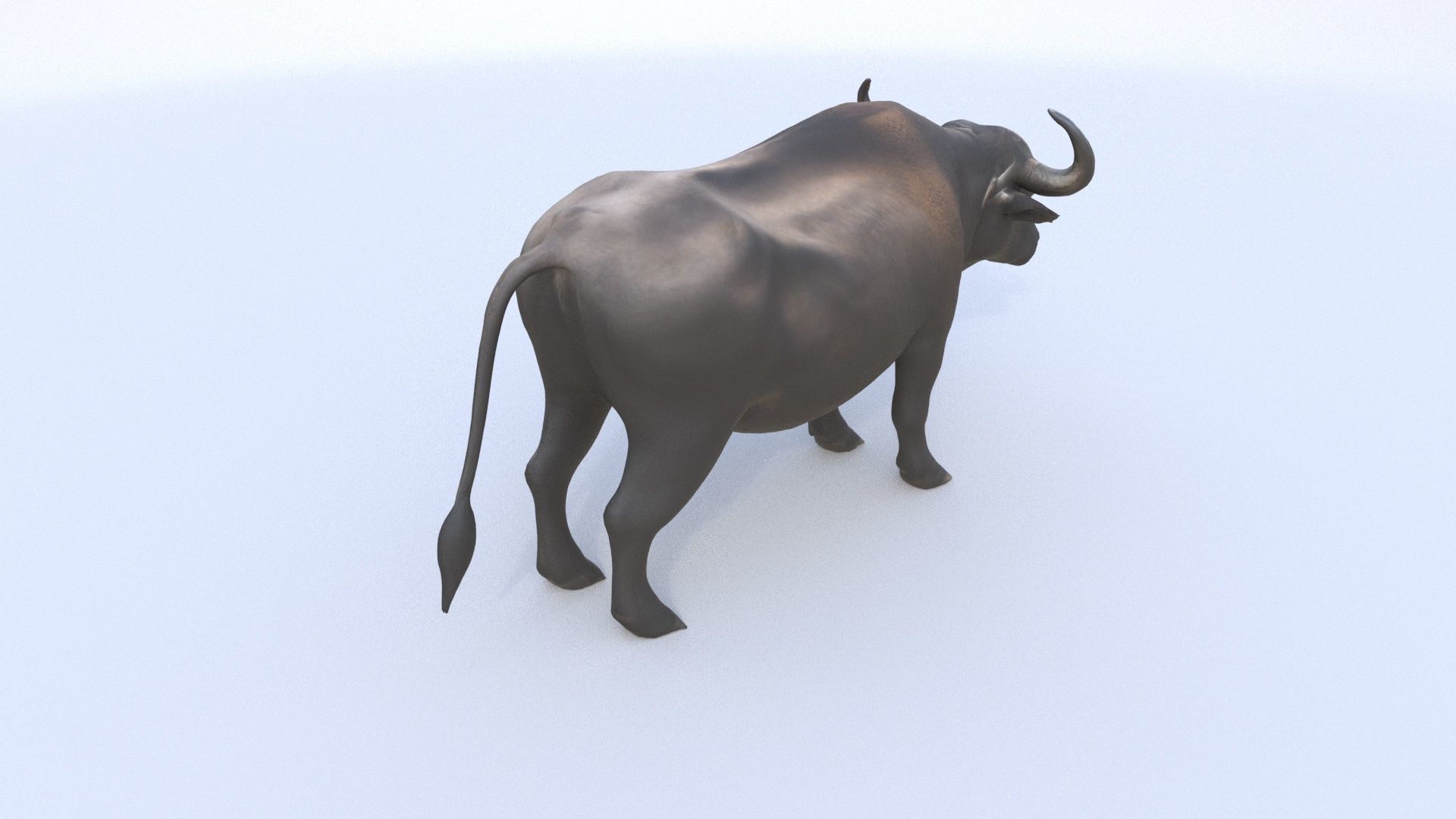 African Buffalo 3D model_3