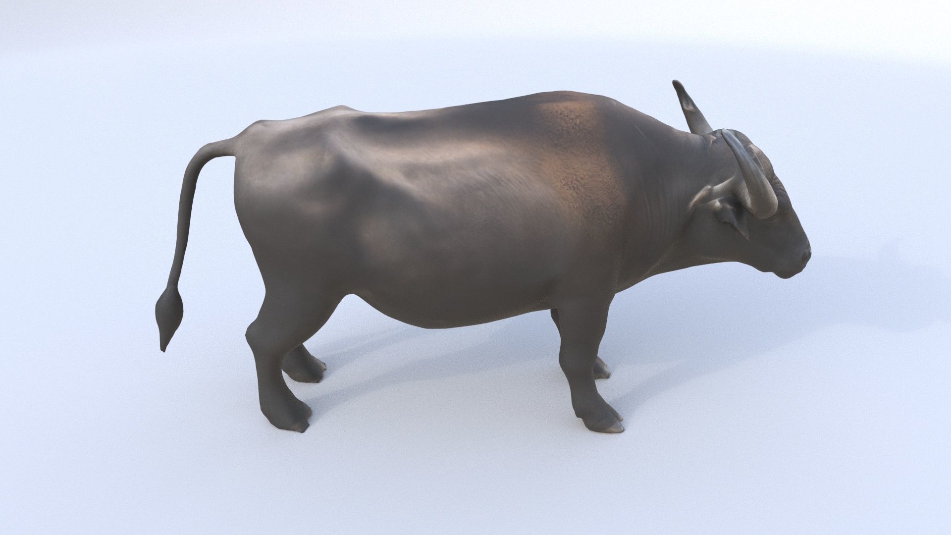 African Buffalo 3D model_4