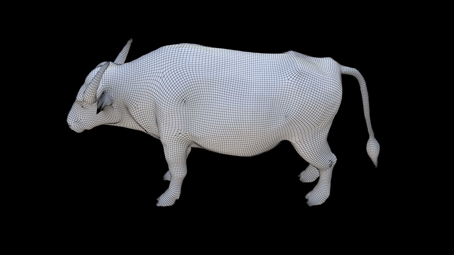 African Buffalo 3D model_6