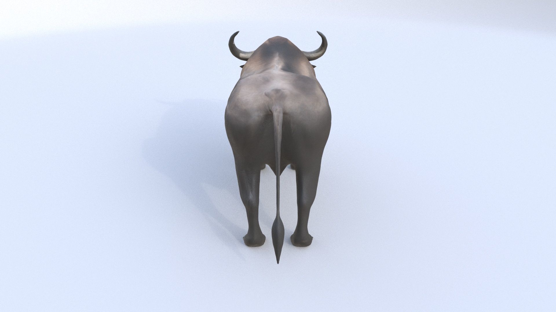 African Buffalo 3D model_2