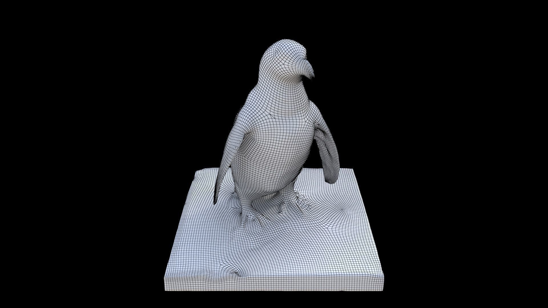 African Penguin 3D model_6
